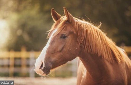 NOBLES HILL ESTATES - Residential