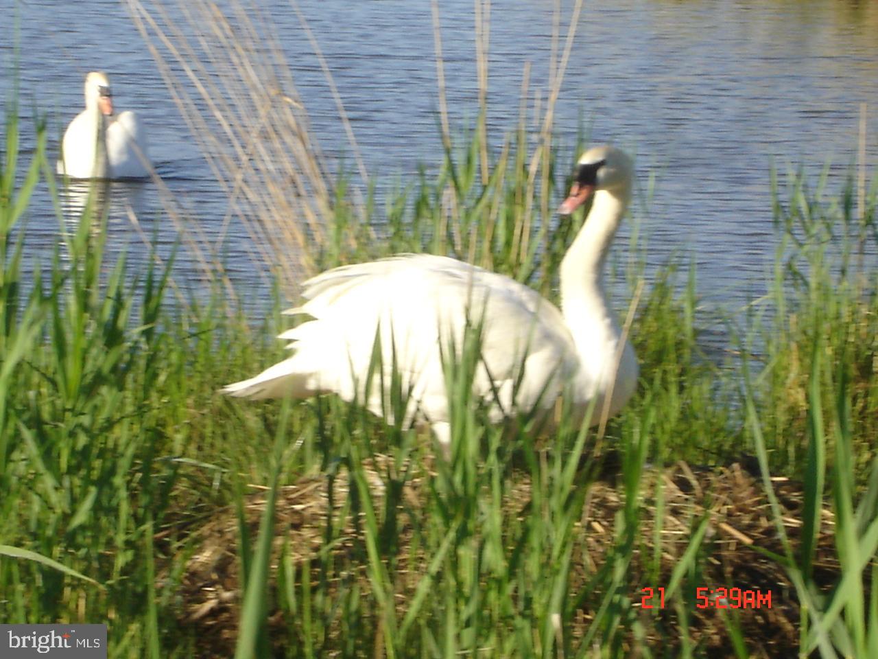 ANNAPOLIS - Residential