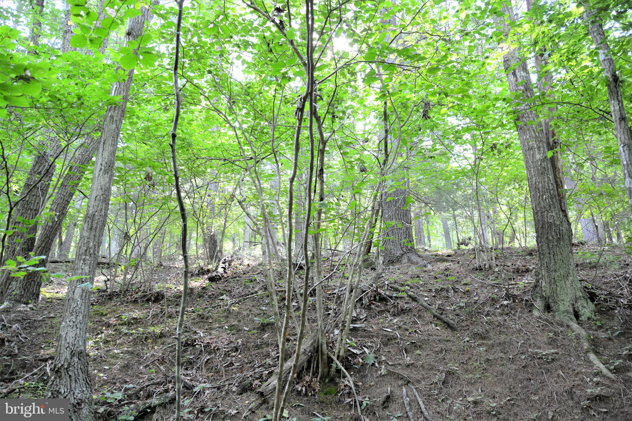 HOOVER MOUNTAIN - Land