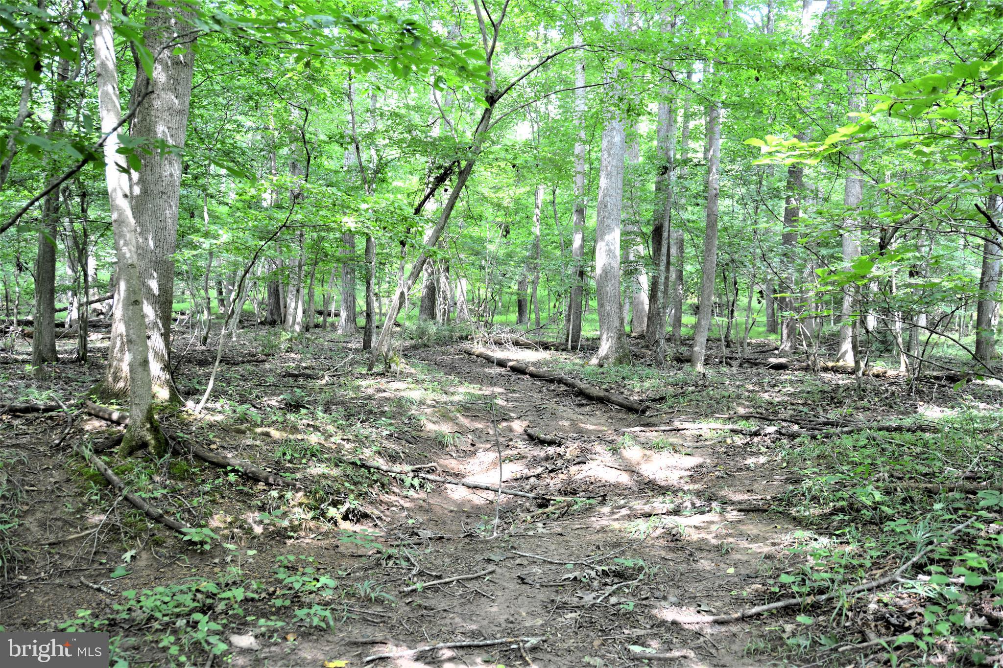 HOOVER MOUNTAIN - Land