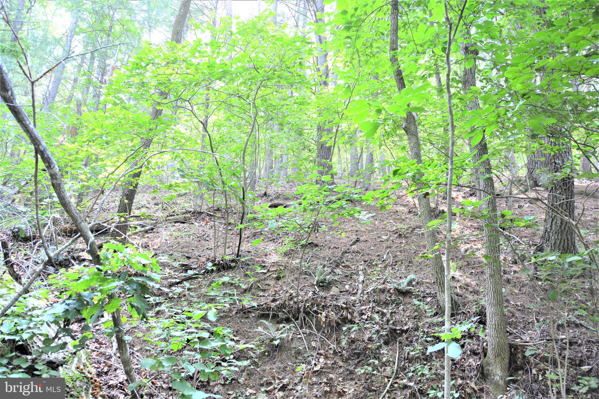 HOOVER MOUNTAIN - Land