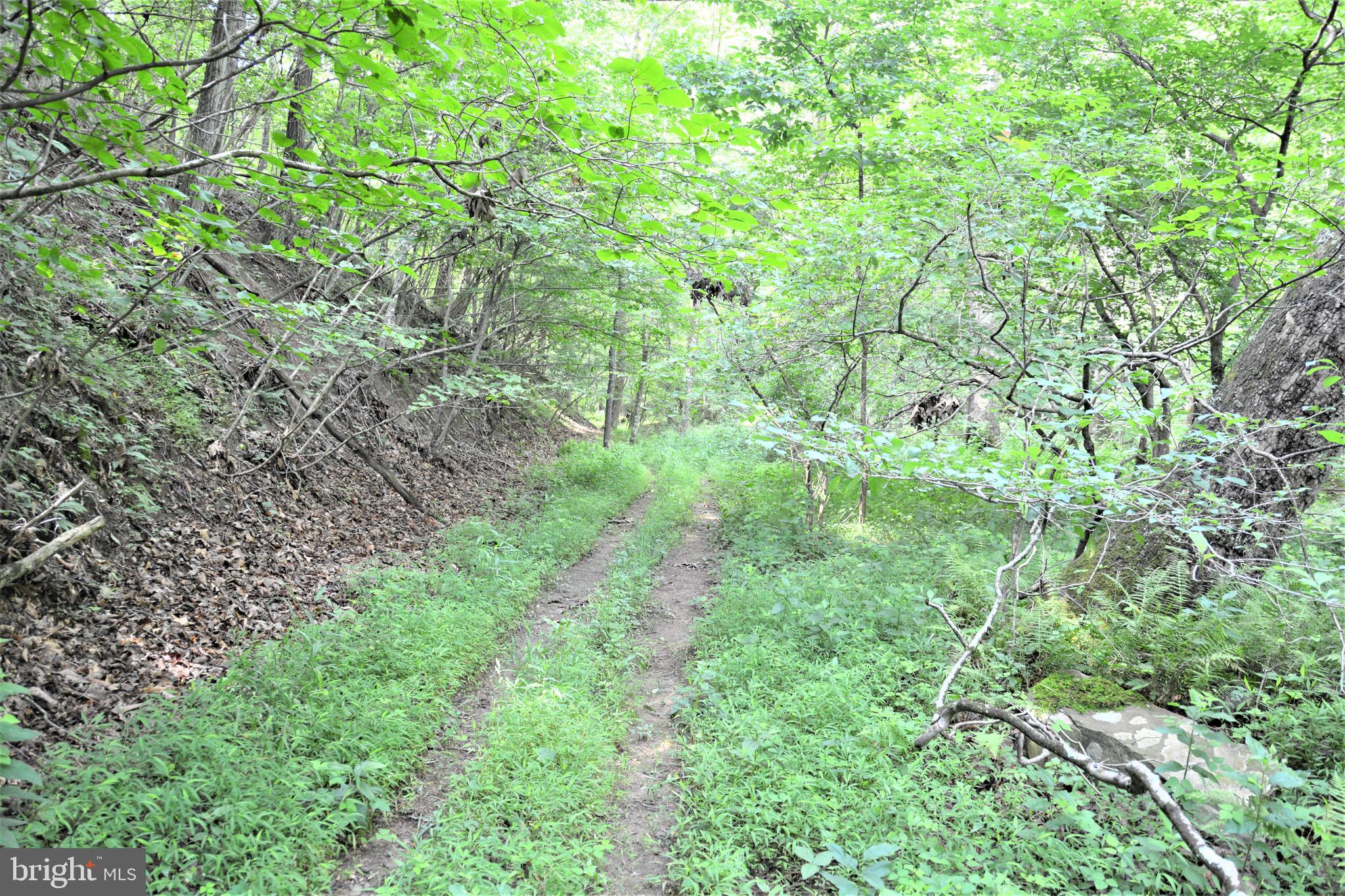 HOOVER MOUNTAIN - Land