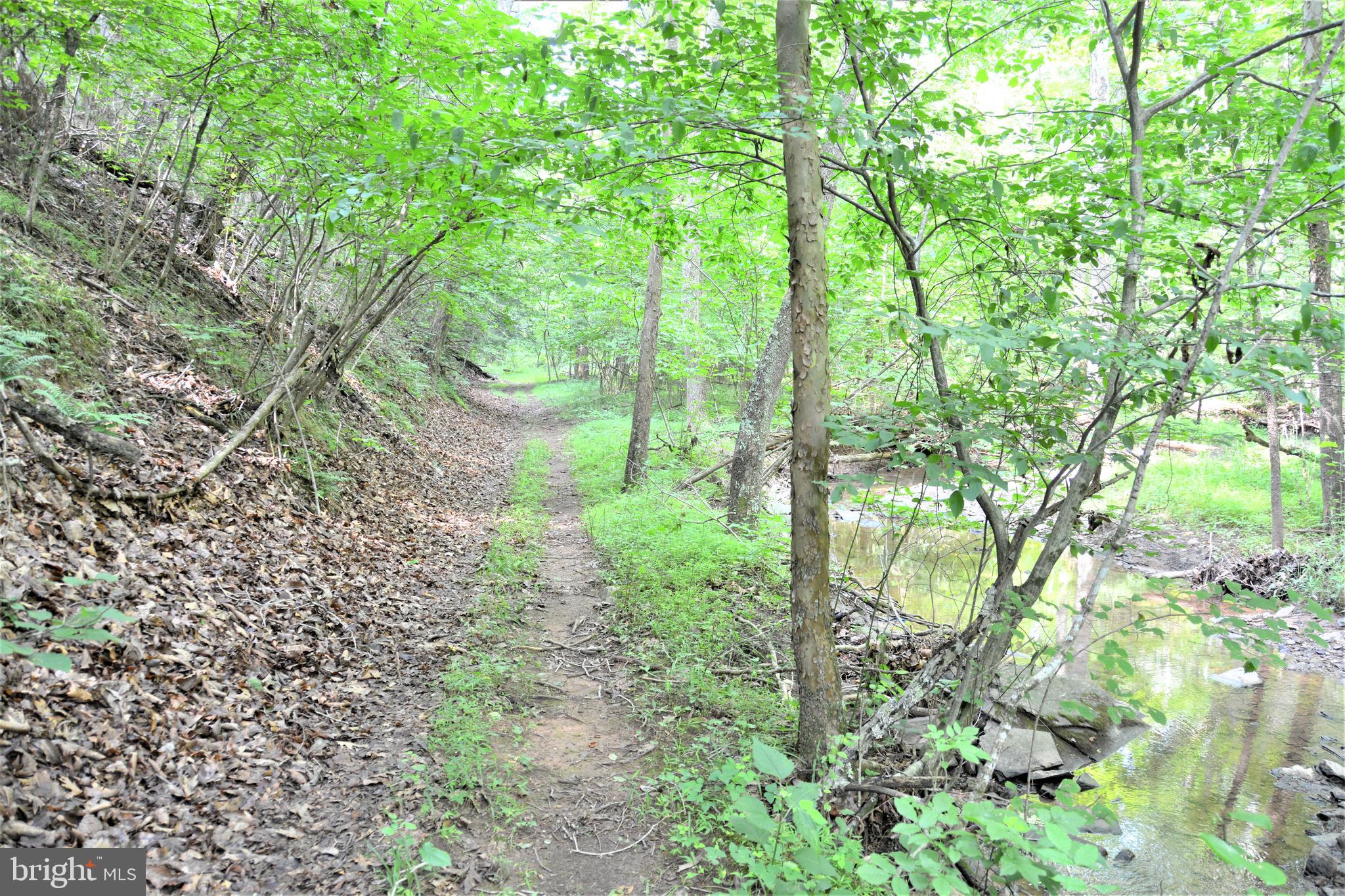 HOOVER MOUNTAIN - Land