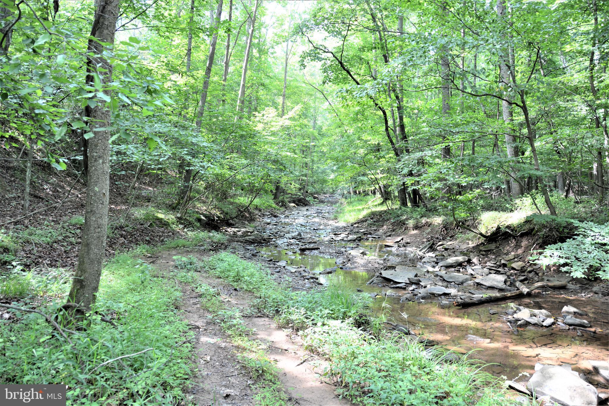 HOOVER MOUNTAIN - Land