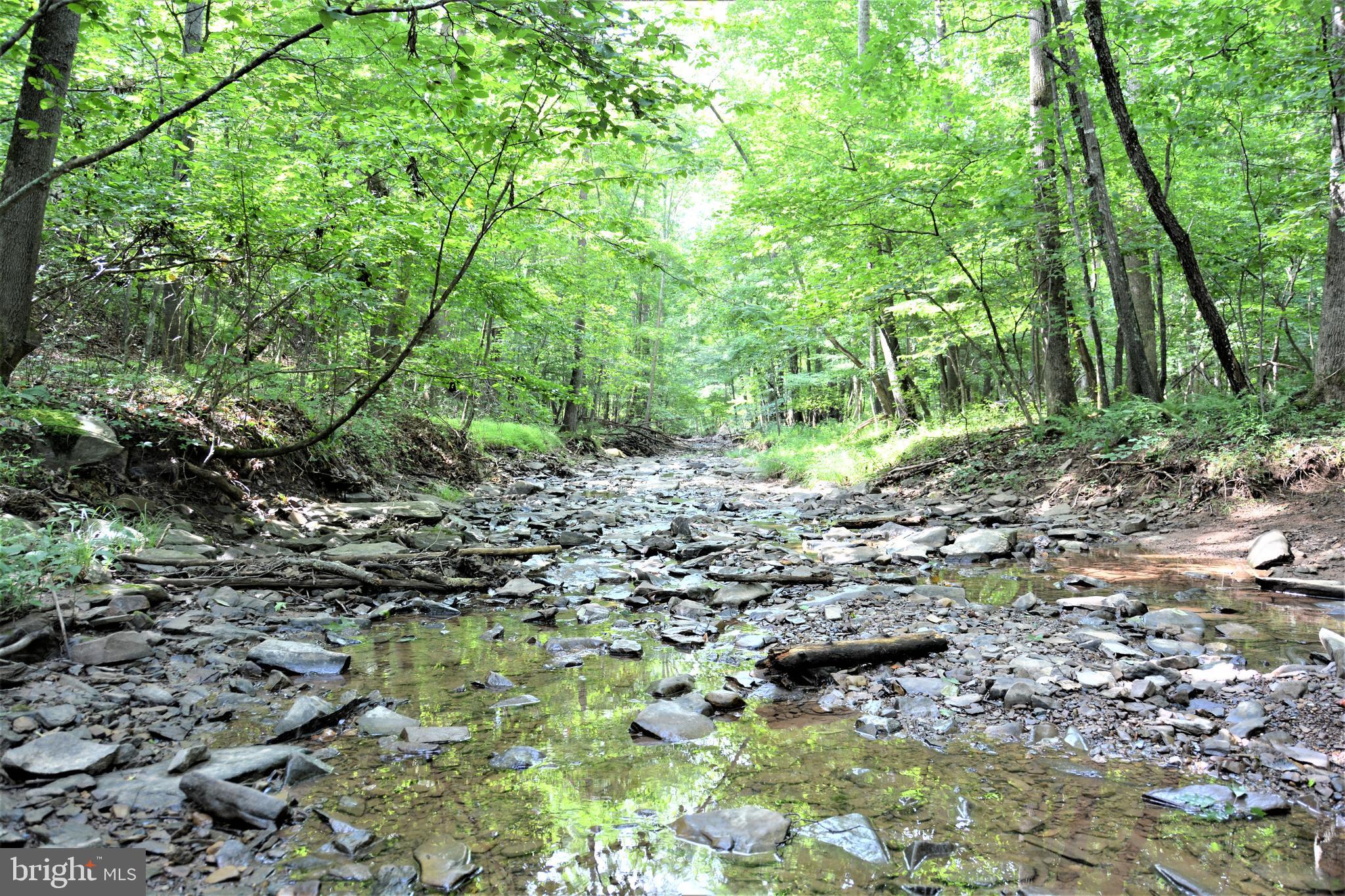 Unique property, great for recreation. Land is all wooded, tall hardwoods, mostly mountainside. There is about 1.5 acres where Little Mountain Run (creek) runs through the property for over 300' so that you have a very flat, wooded area on the other side of the creek which is perfect for hiking, camping, hunting. You will have to visit the property to really appreciate what it has to offer. Little Mountain Run Drive is a narrow, private lane that takes you to the property. Prepare to walk a short distance to the creek site. NO HOA out here. No covenants or restrictions. You might call the agent for specifics before venturing out.