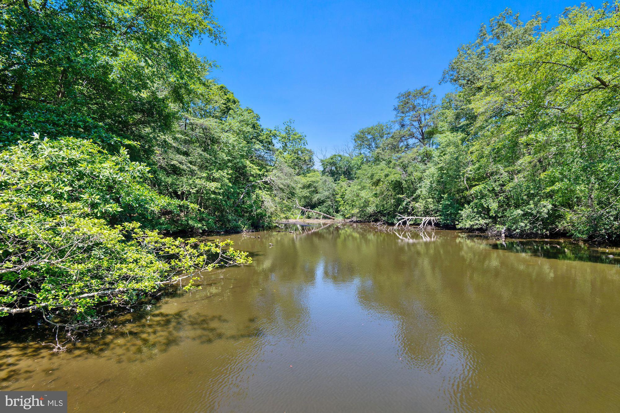 MAGOTHY FOREST - Residential