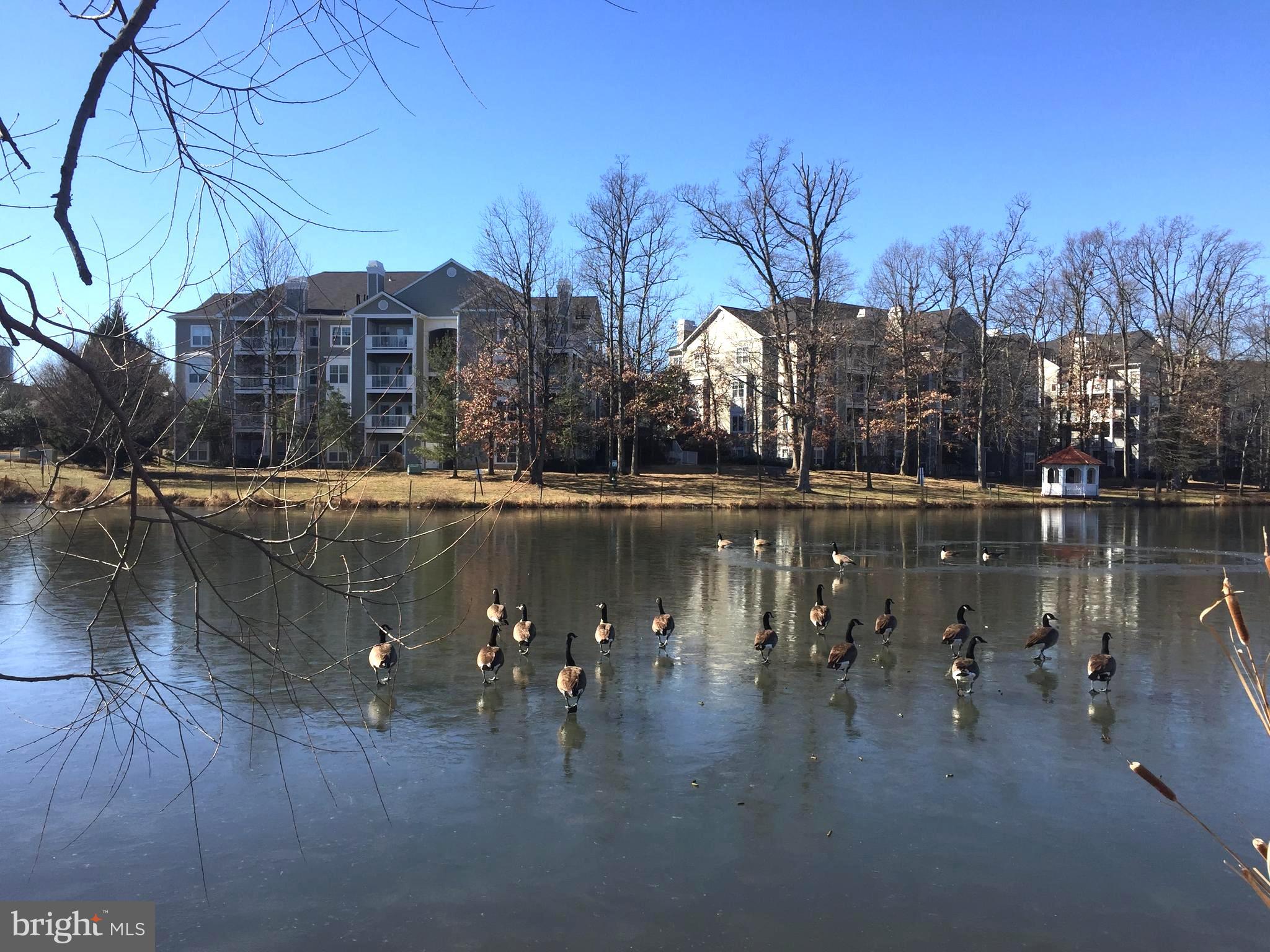 1705 LAKE SHORE CREST DRIVE 23