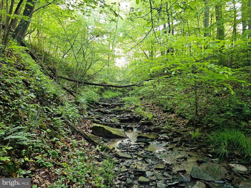 "170 AC Above Three Forks" Beautiful ridge property with views above Fortney Mills, Three Forks Creek & the mountains of West Virginia. Secluded acreage with excellent hunting for deer, bear, and turkey. Multiple established ATV trails and permanent tree stands. Stocked trout stream minutes away. Paved County Road frontage and electric nearby. 14 +/- miles to Tygart Lake State Park. 19 +/- miles to Morgantown. 26 +/- miles to Clarksburg Airport and everything Bridgeport has to offer. Additional joining tracts available.