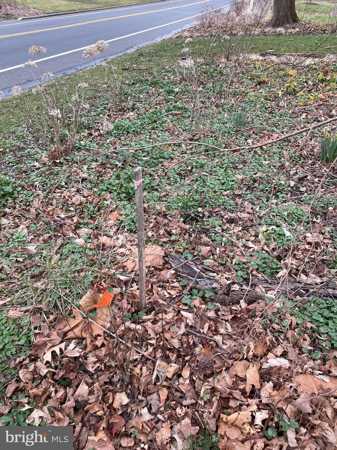 DOYLESTOWN BORO - Land