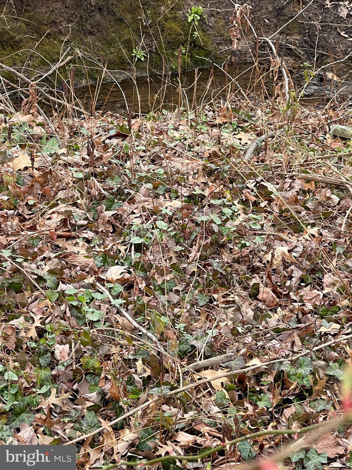 DOYLESTOWN BORO - Land