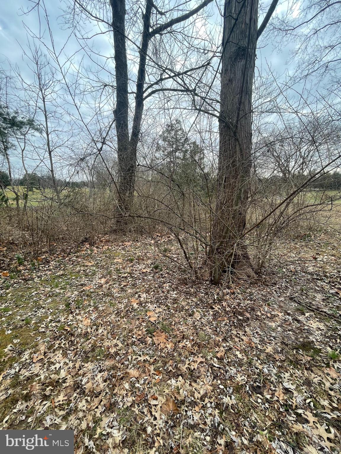 DOYLESTOWN BORO - Land