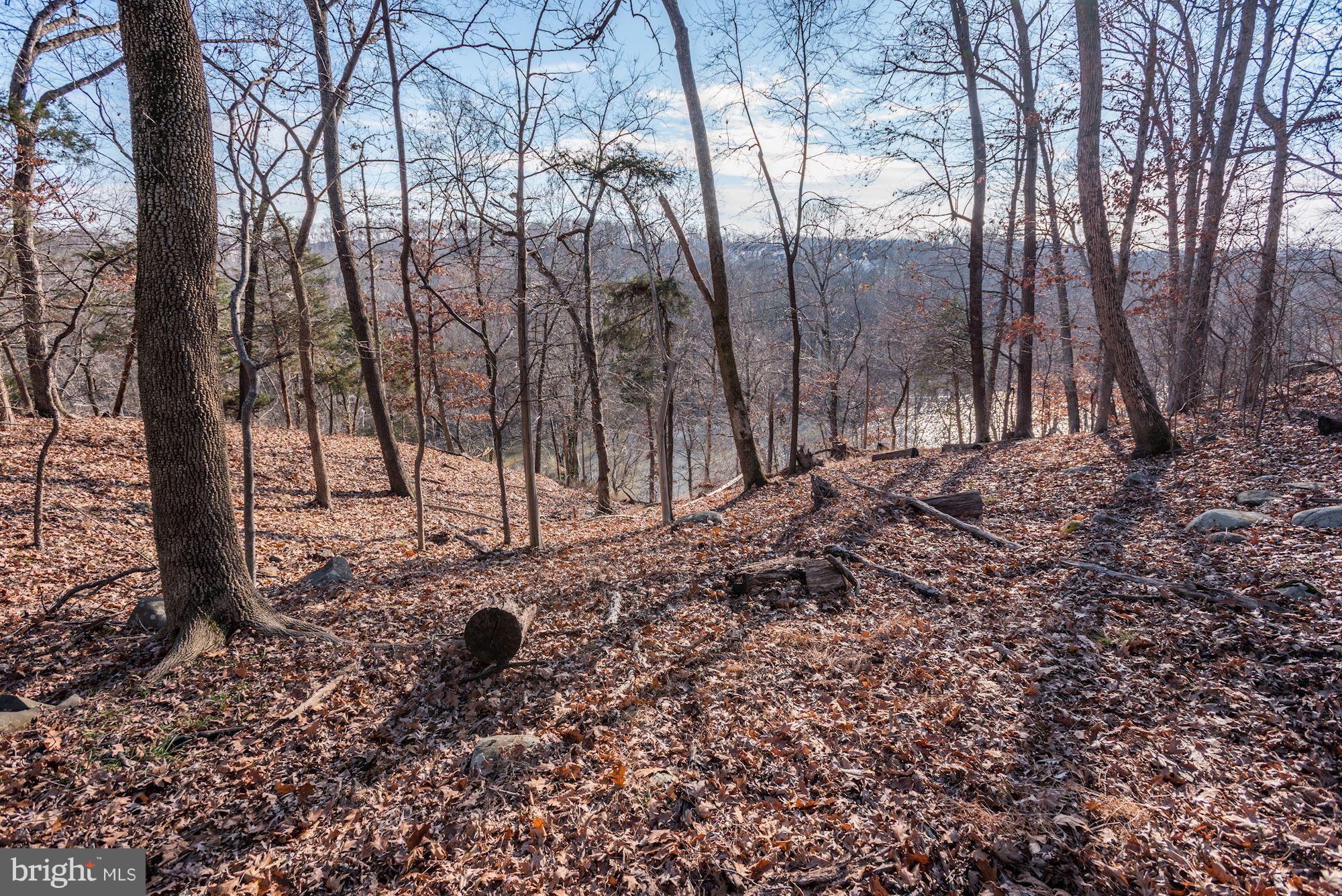LANSDOWNE ON THE POTOMAC - Residential