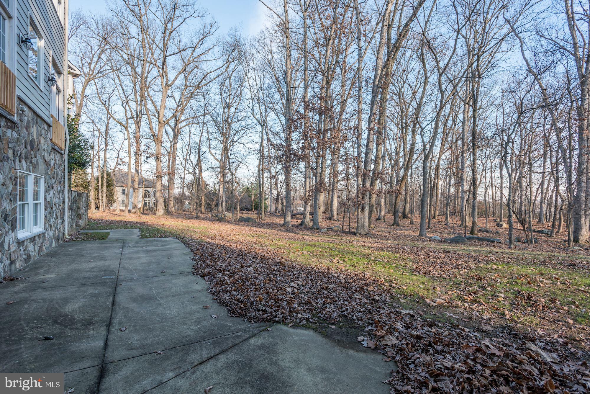 LANSDOWNE ON THE POTOMAC - Residential