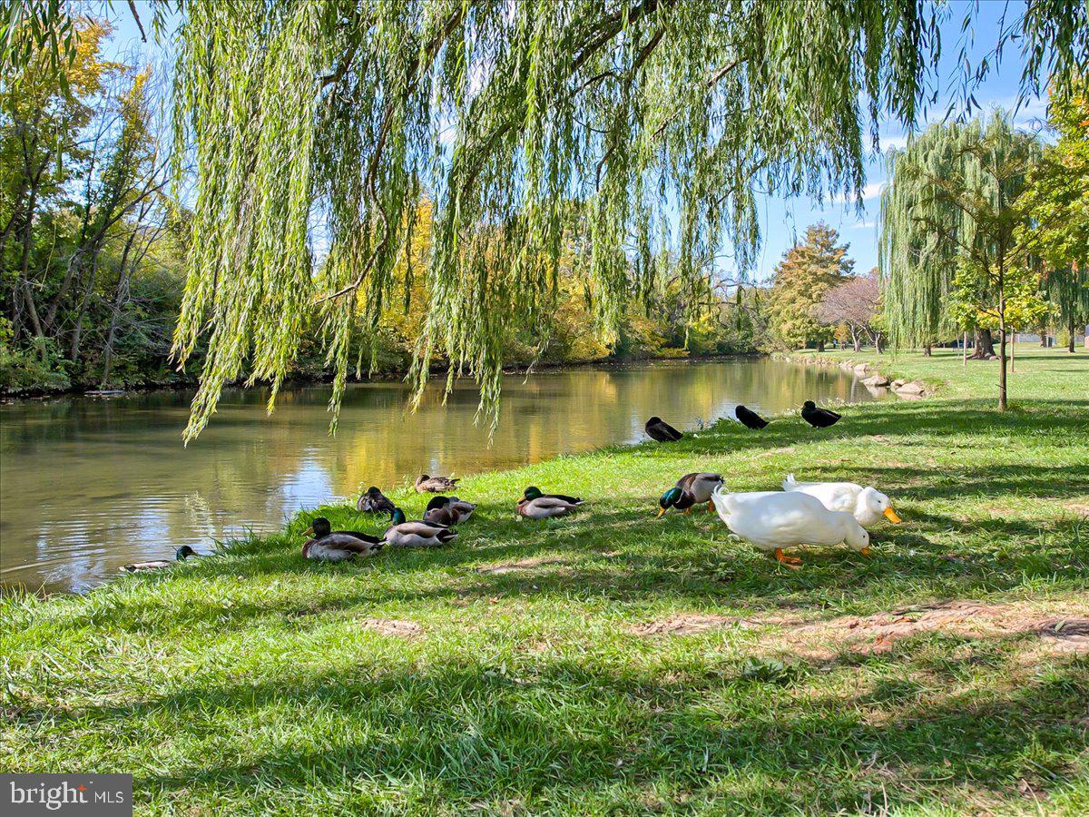 BAKER PARK - Residential