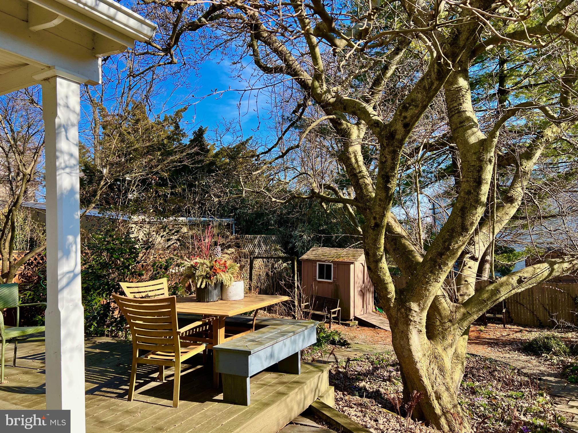 CHESTNUT HILL - Residential Lease