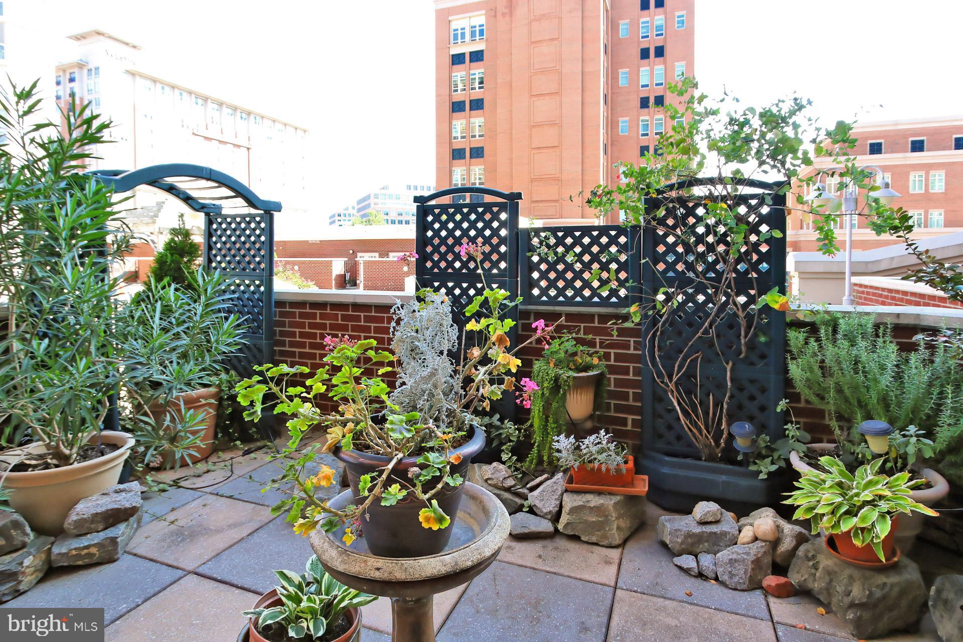 CARLYLE TOWERS CONDOMINIUM - Residential