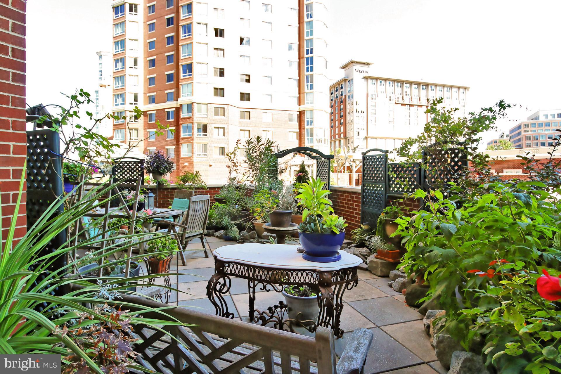 CARLYLE TOWERS CONDOMINIUM - Residential