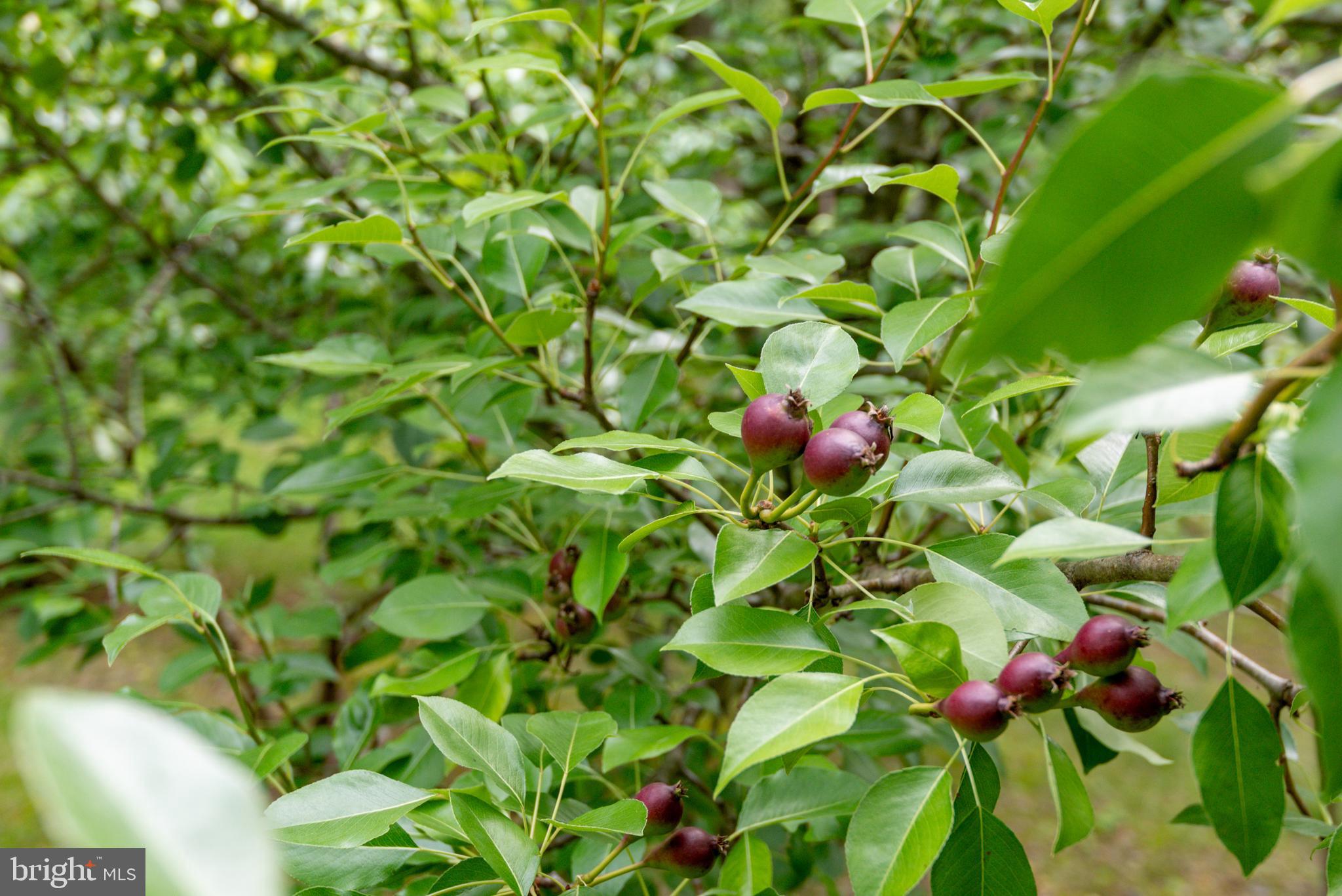 RIVERWOOD FARMS - Residential