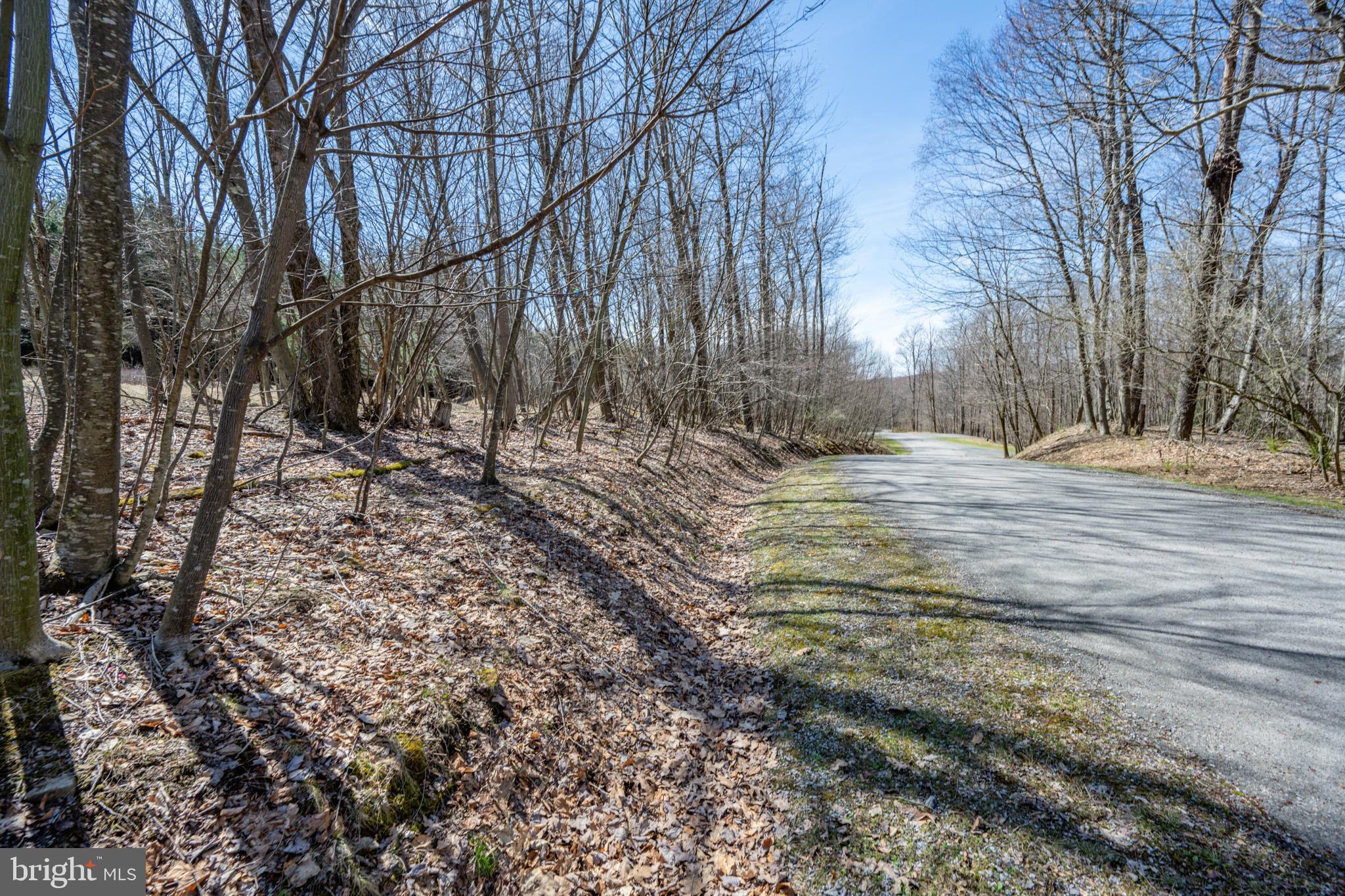 GALLATIN WOODS - Land