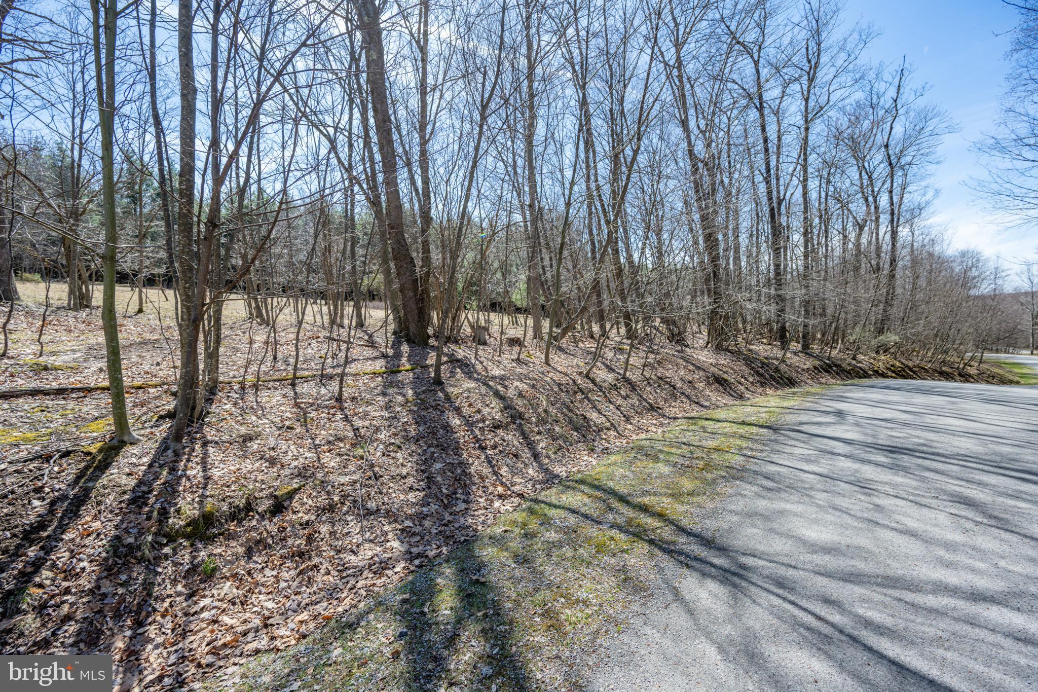 GALLATIN WOODS - Land