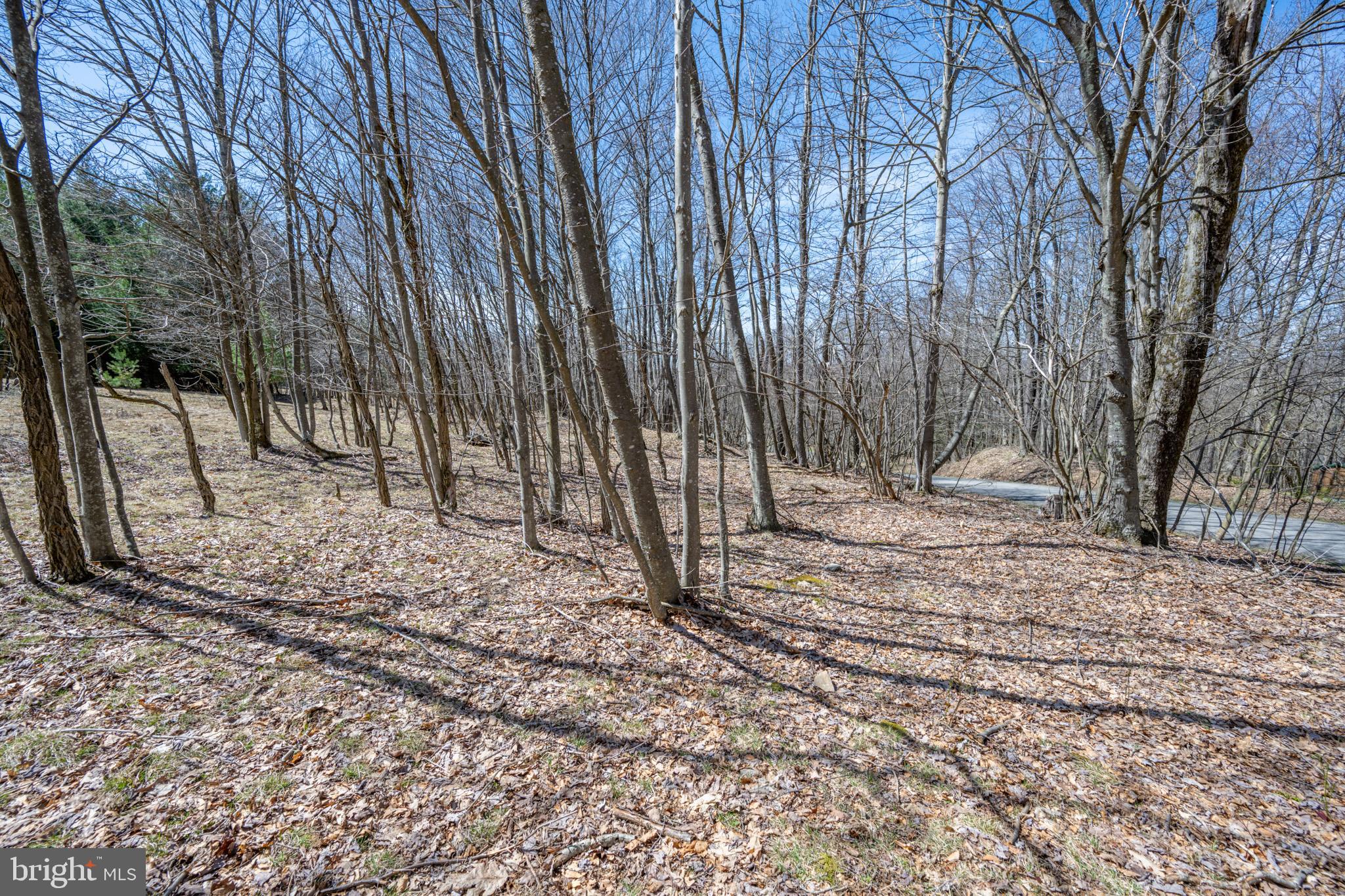 GALLATIN WOODS - Land