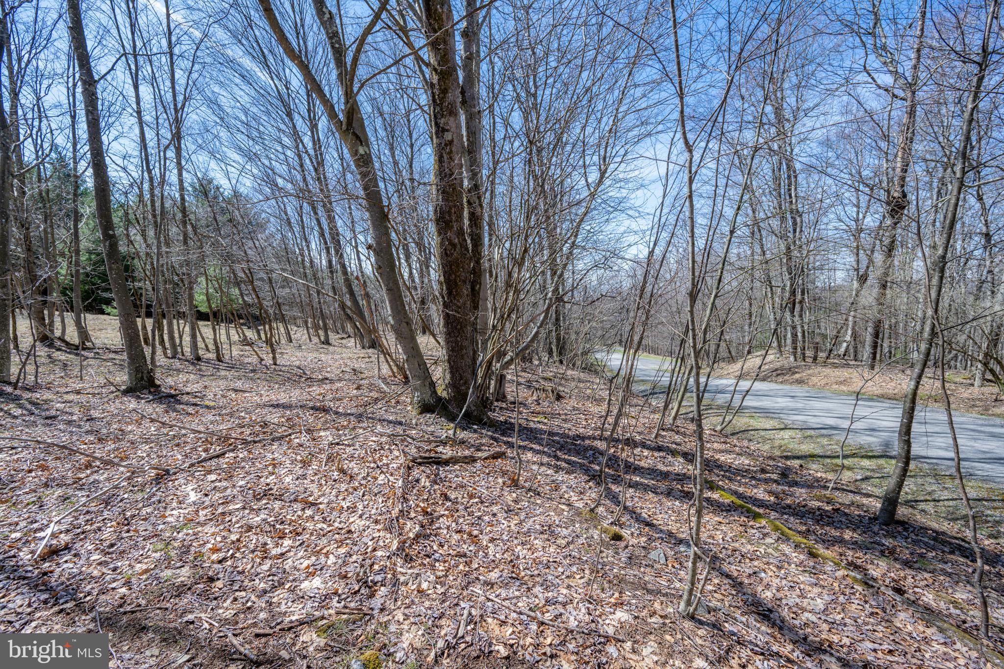 GALLATIN WOODS - Land