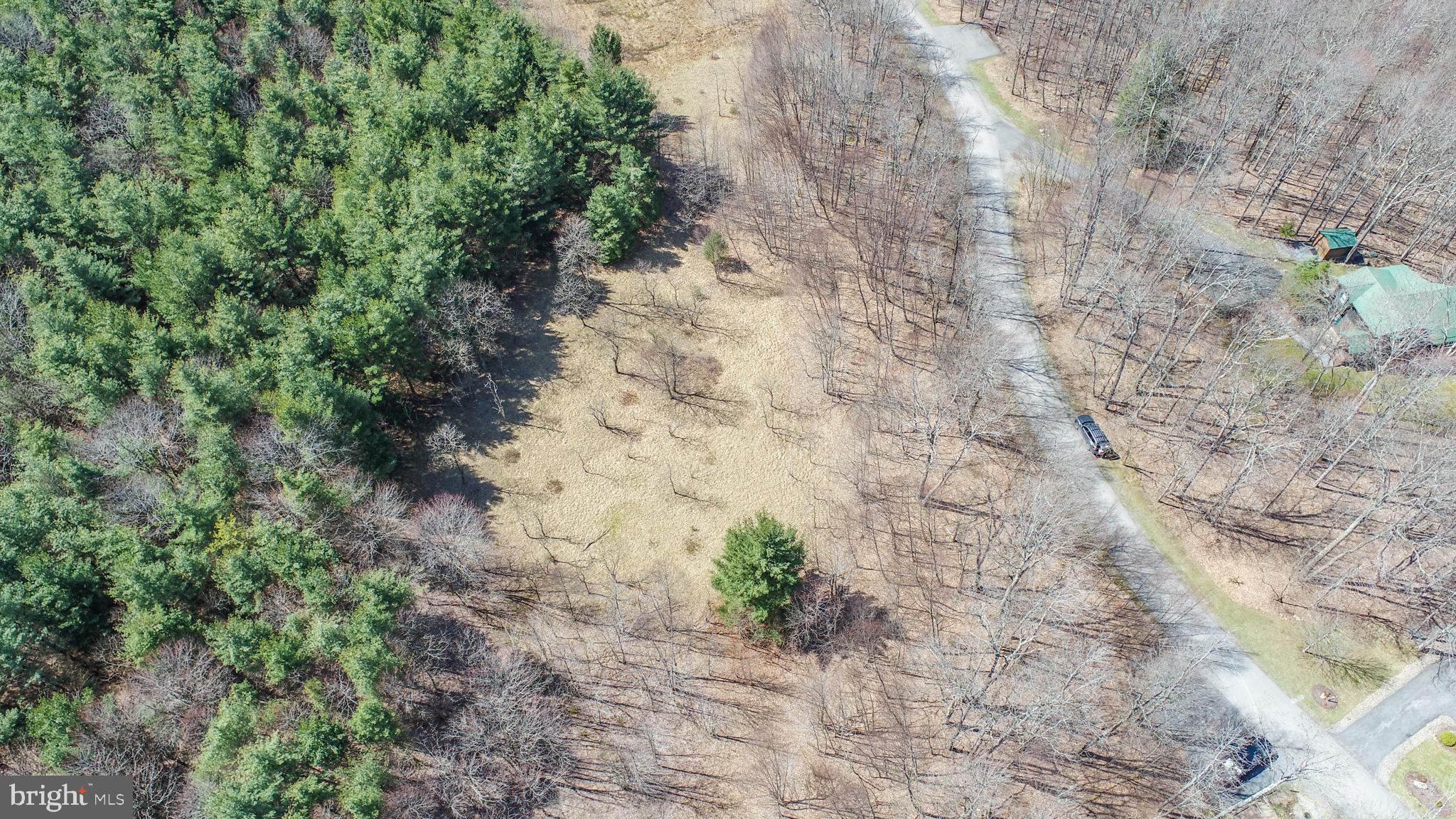 GALLATIN WOODS - Land