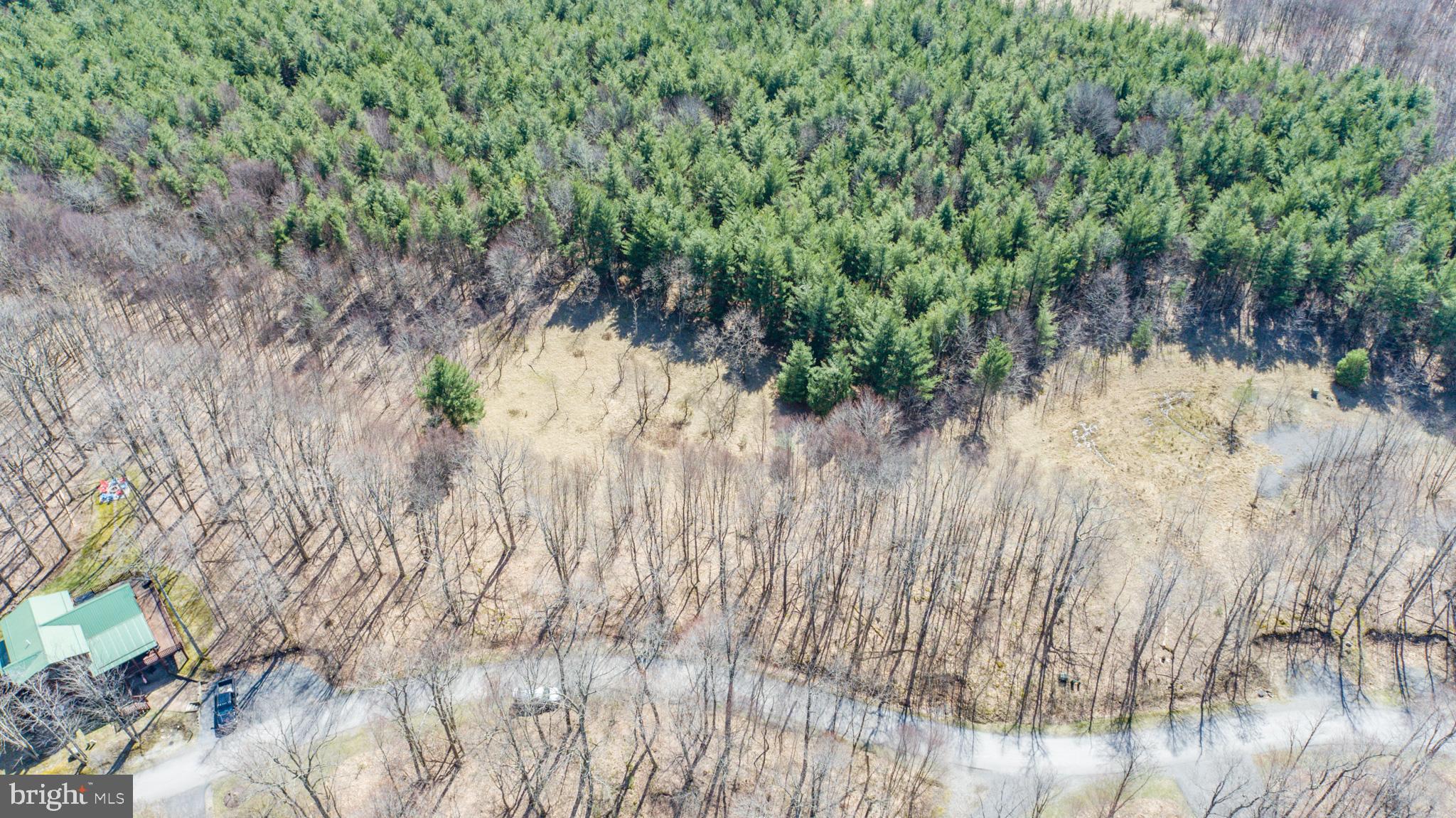 GALLATIN WOODS - Land