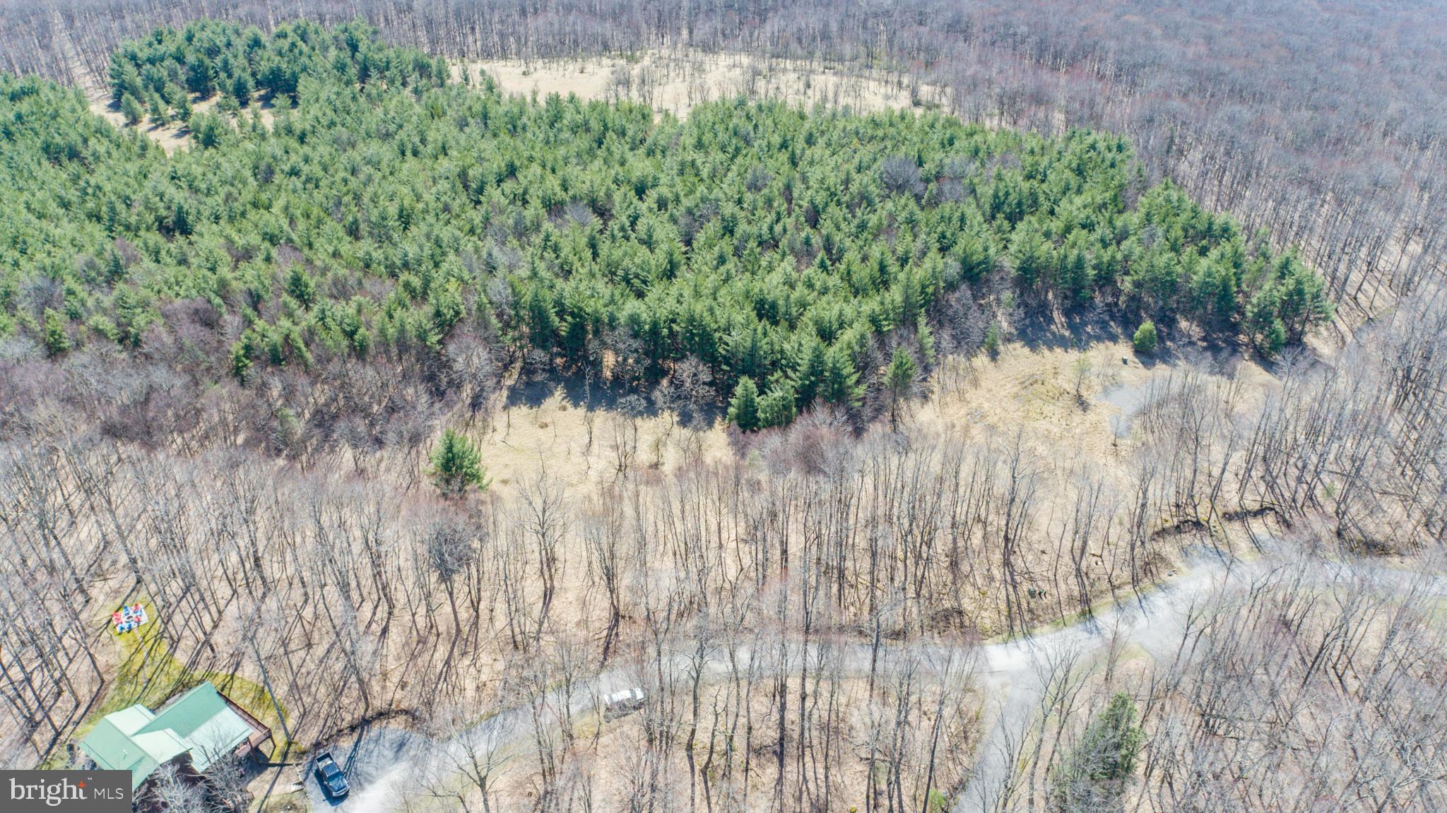 GALLATIN WOODS - Land