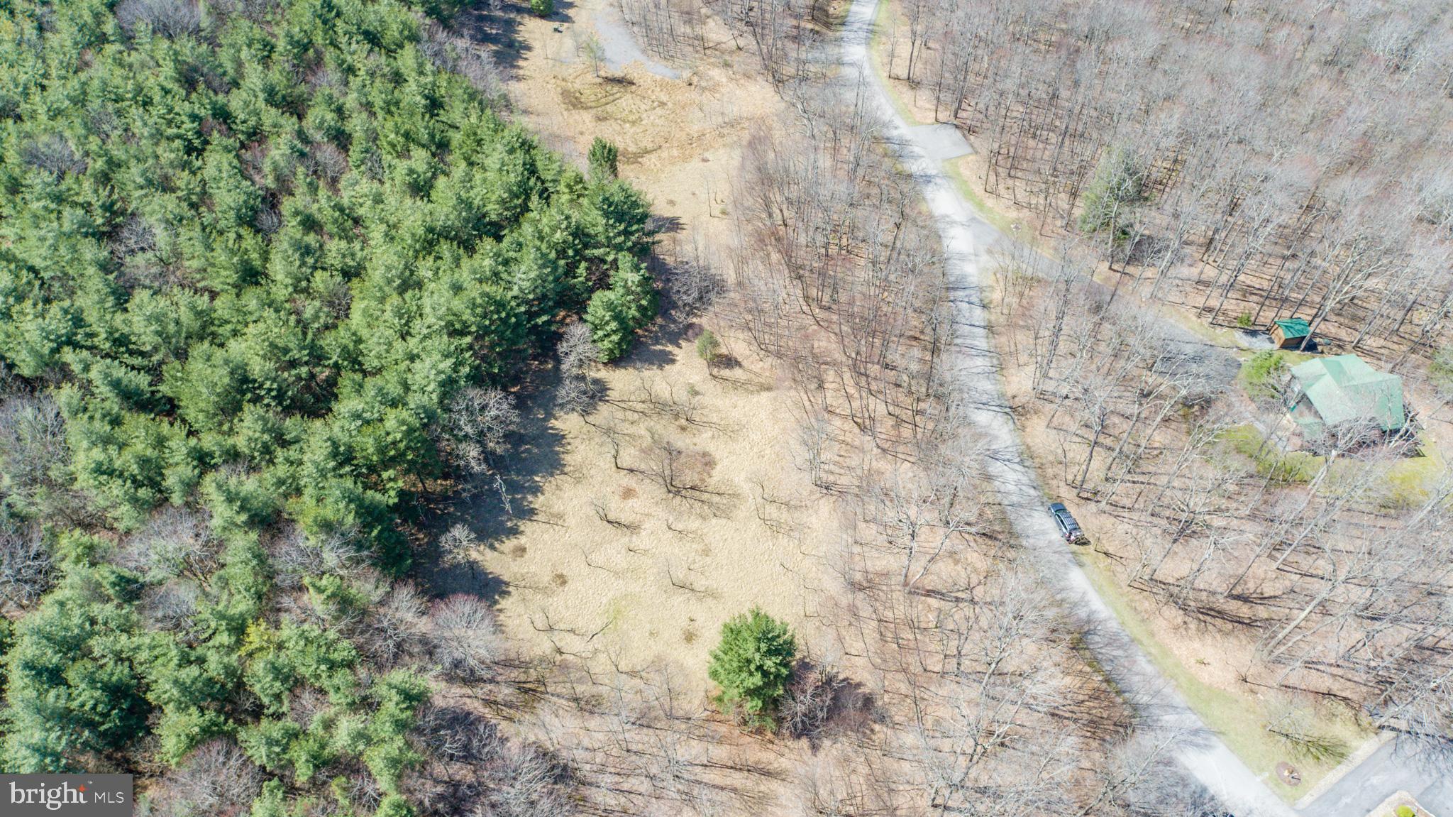 GALLATIN WOODS - Land