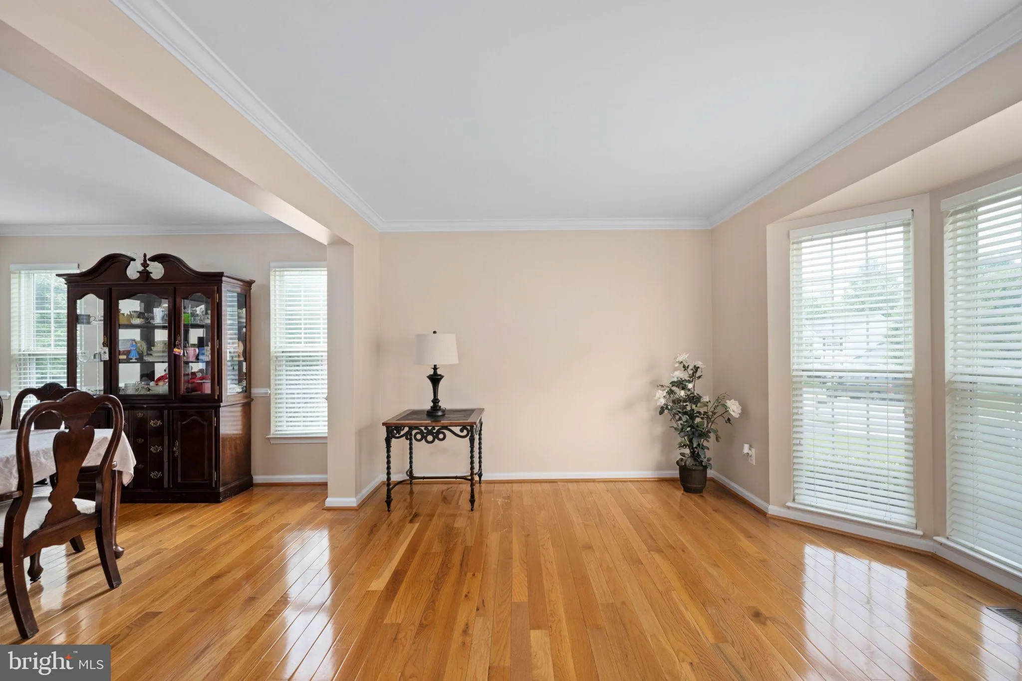 Fredericksburg, Virginia 22406, United States, 4 Bedrooms Bedrooms, ,3 BathroomsBathrooms,Residential,Contingent,146861