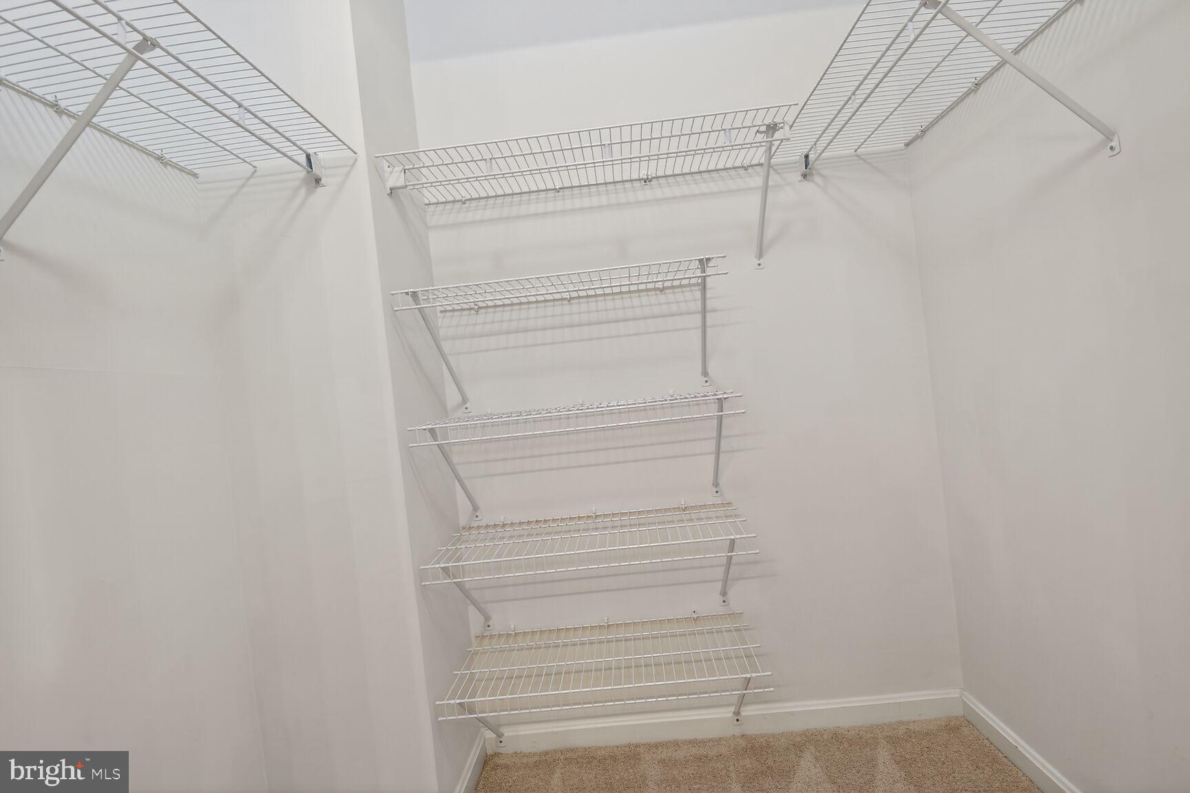 MAGNOLIAS AT LANSDOWNE WOODS - Residential