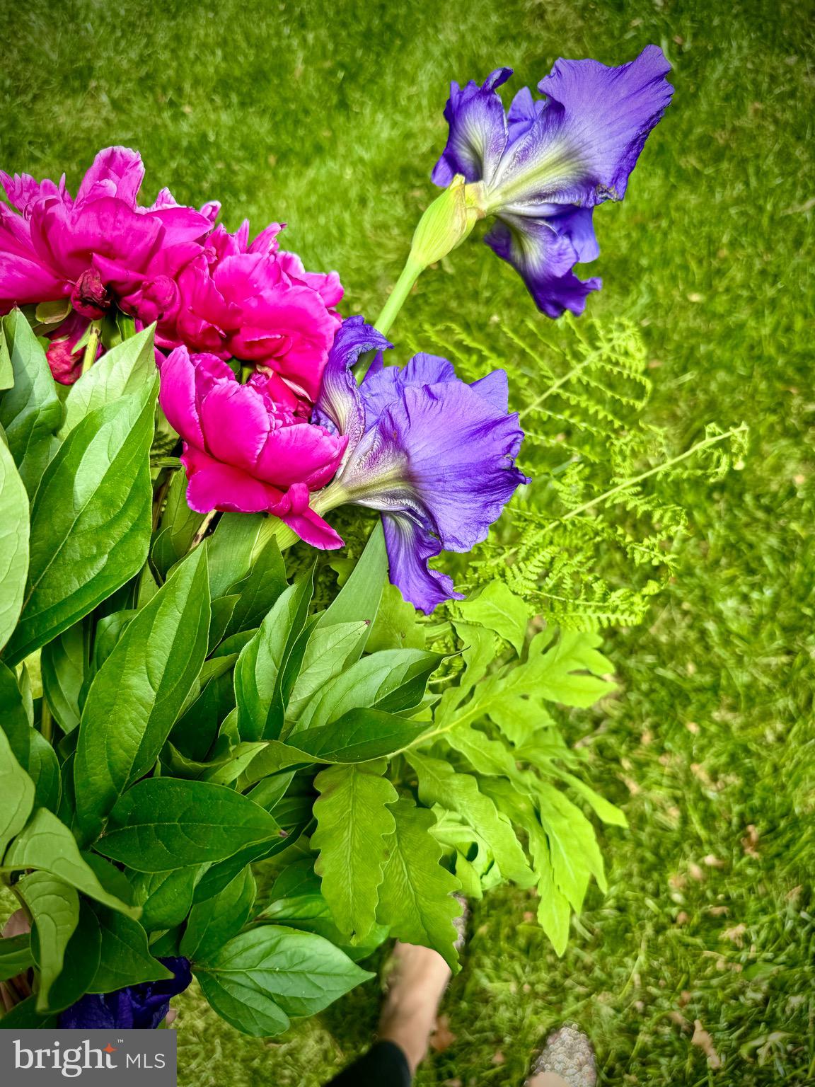 FIELDS OF FOUR CORNERS - Residential