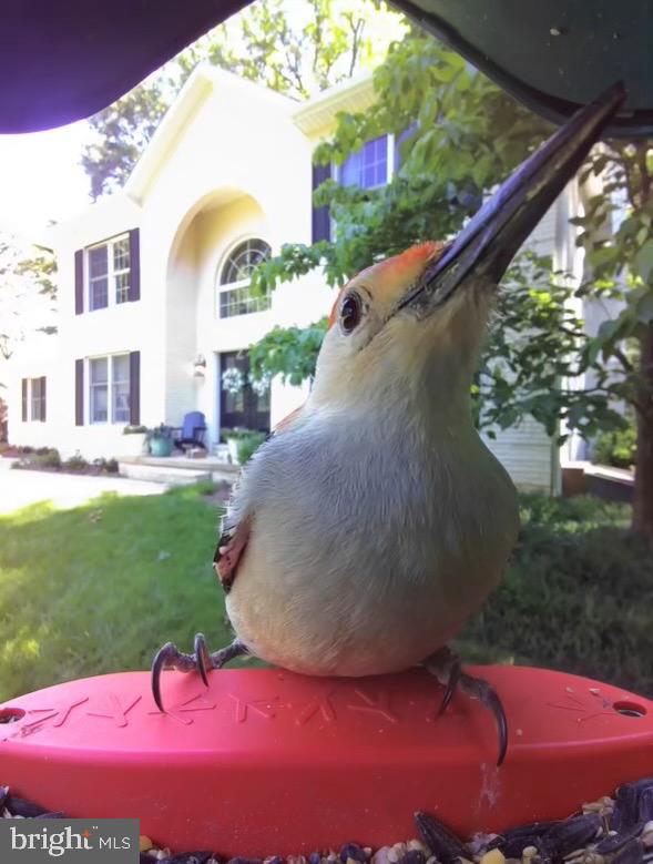 FIELDS OF FOUR CORNERS - Residential