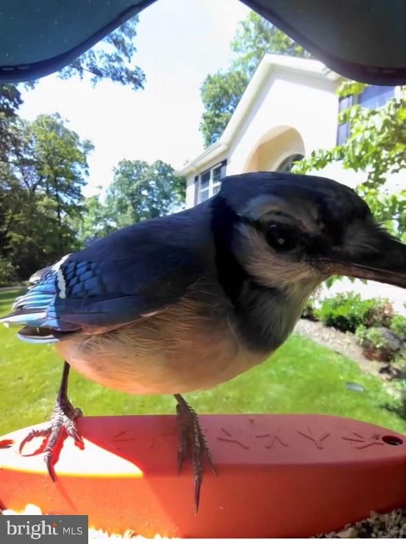 FIELDS OF FOUR CORNERS - Residential