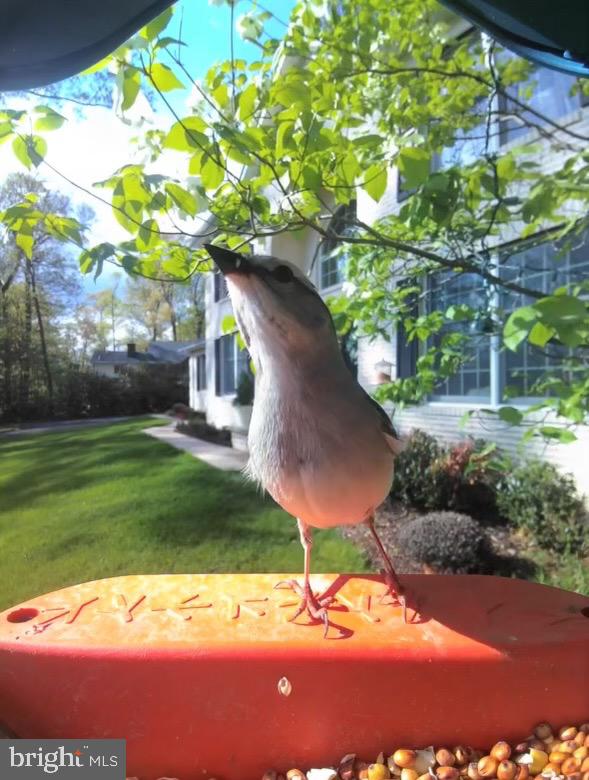 FIELDS OF FOUR CORNERS - Residential