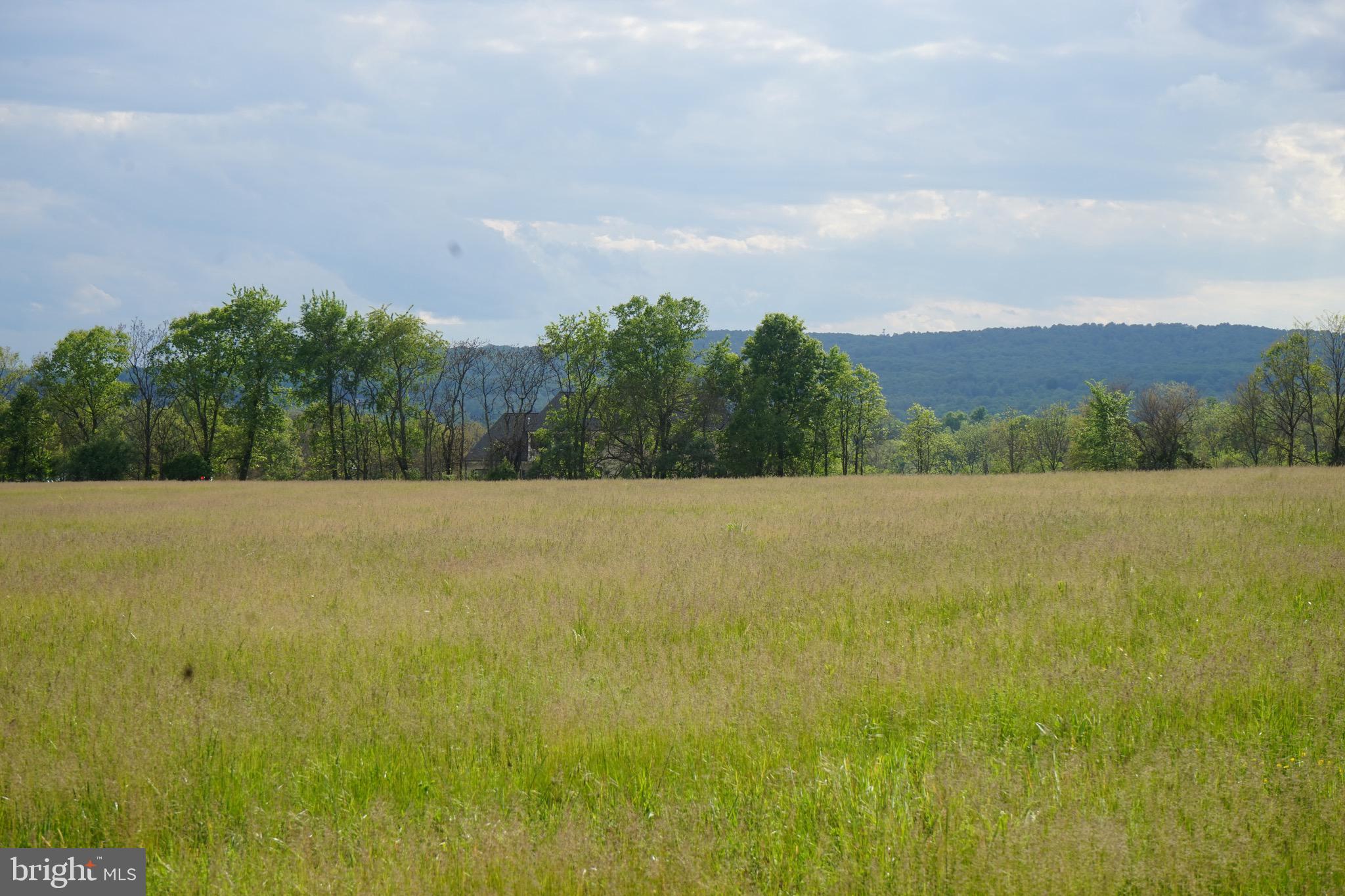 LEE'S CROSSING - Residential