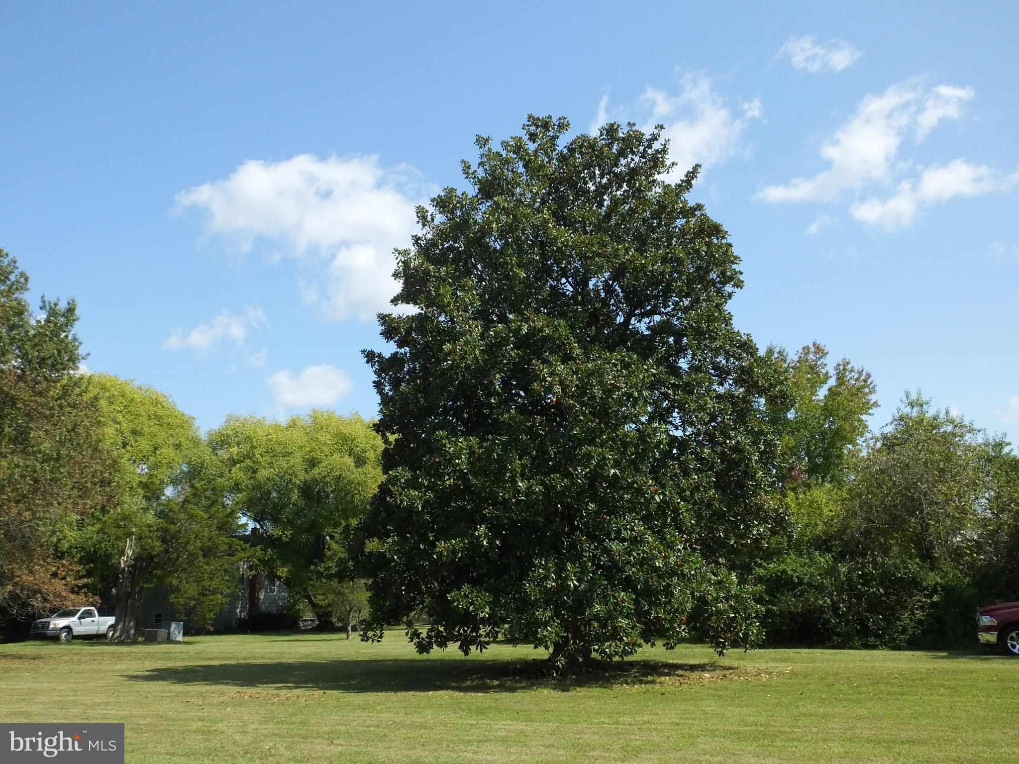 NECK DISTRICT - Residential