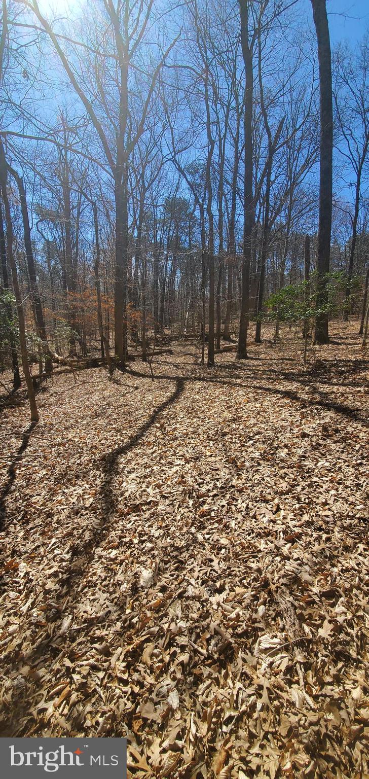 This is the lot you can purchase and build your dream estate. The owner has gotten the address, water, and sewer, as well as building plans, permits, and blueprints. All you need to do is come and build your dream home! This lot is in a residential single family home neighborhood and backs up to a regional park. No one will be building on the other side of you. Come check out the site for your new home! Investors delight most of the work is done. Just pull up and start building!