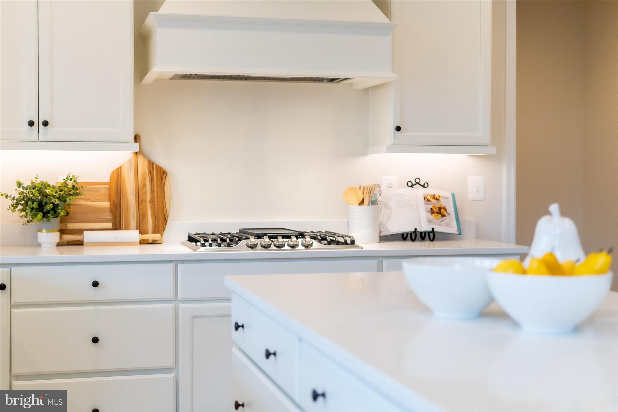 MEADOWRIDGE - Residential