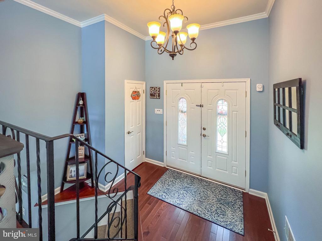55 MOUNT PLEASANT DRIVE