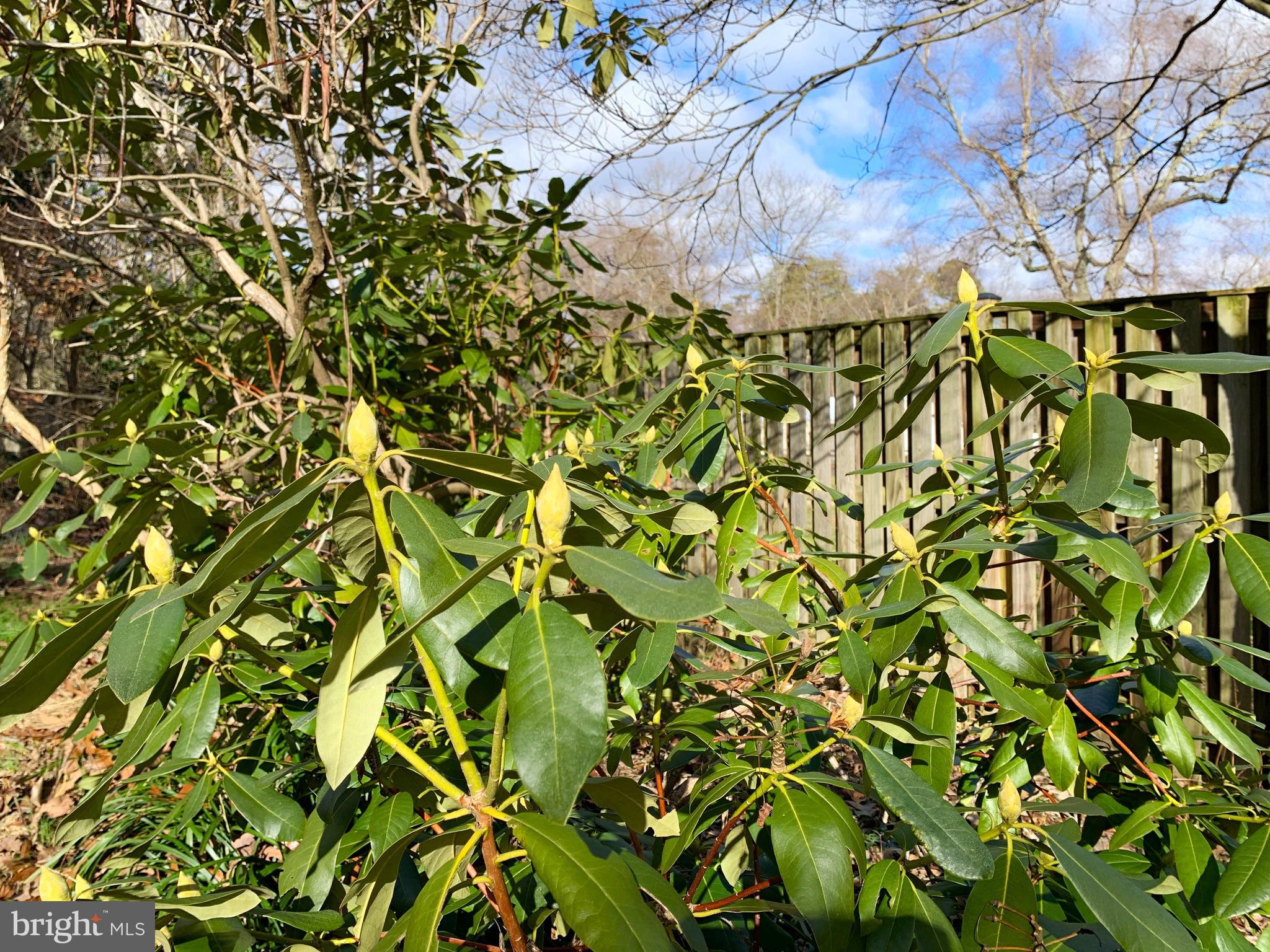 REGULARS - Residential