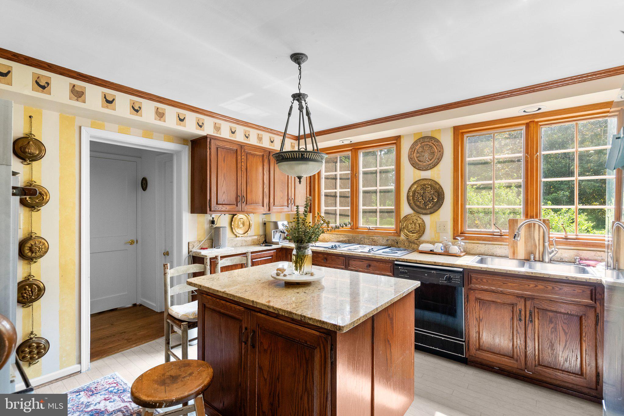 MT. PROSPECT - Residential