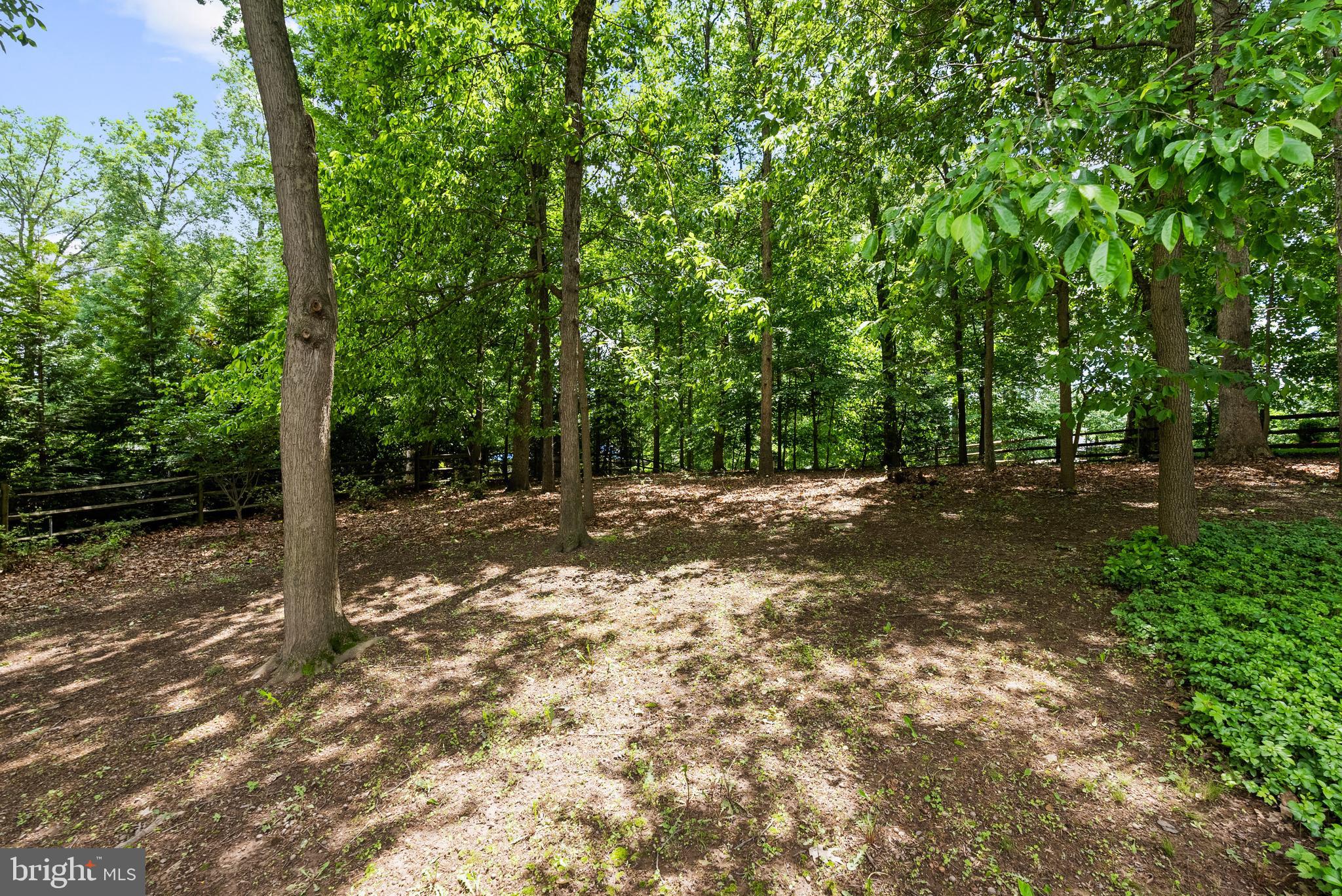 LANGLEY FOREST - Residential