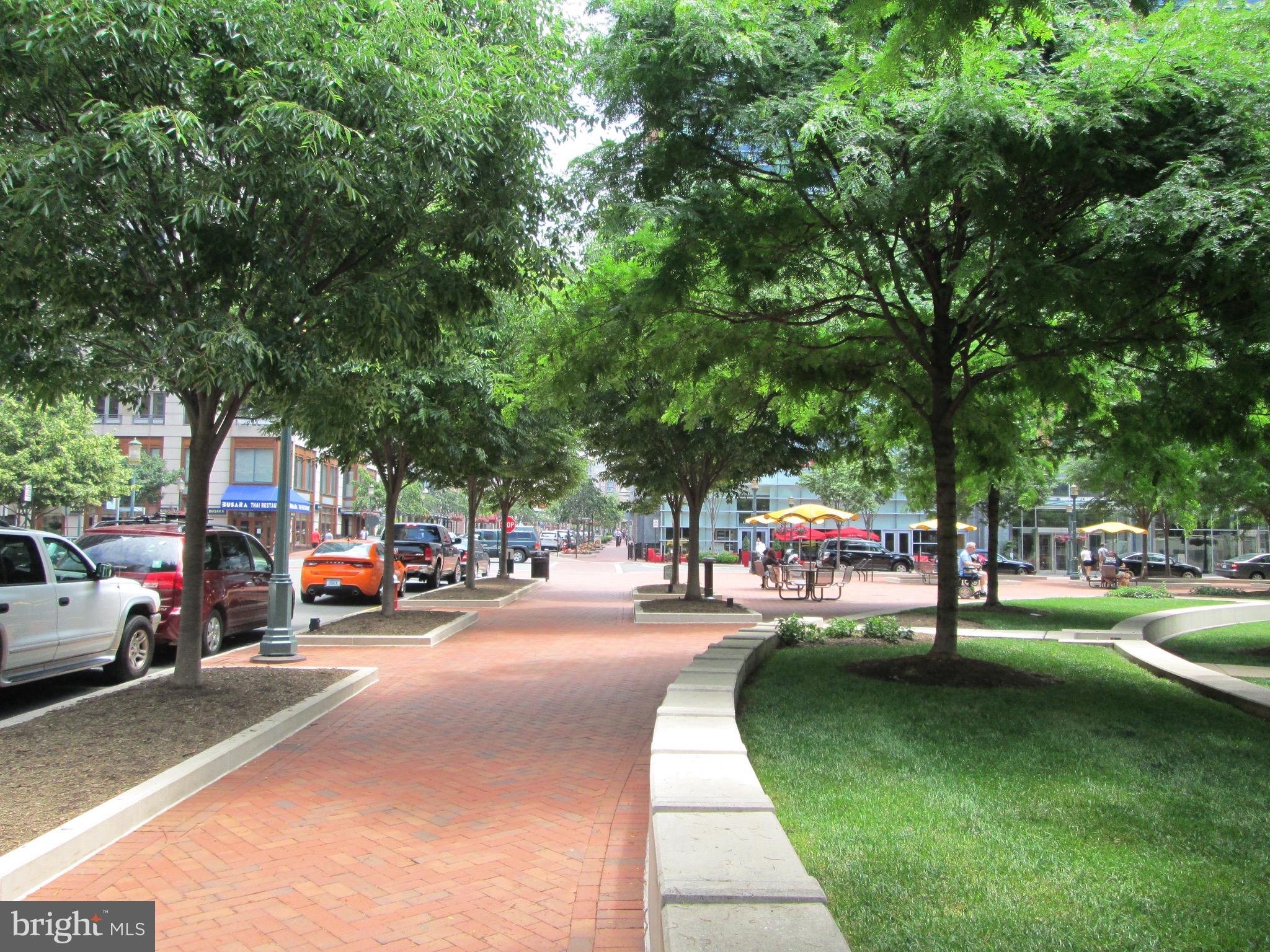 SAVOY AT RESTON TOWN CENTER - Residential Lease