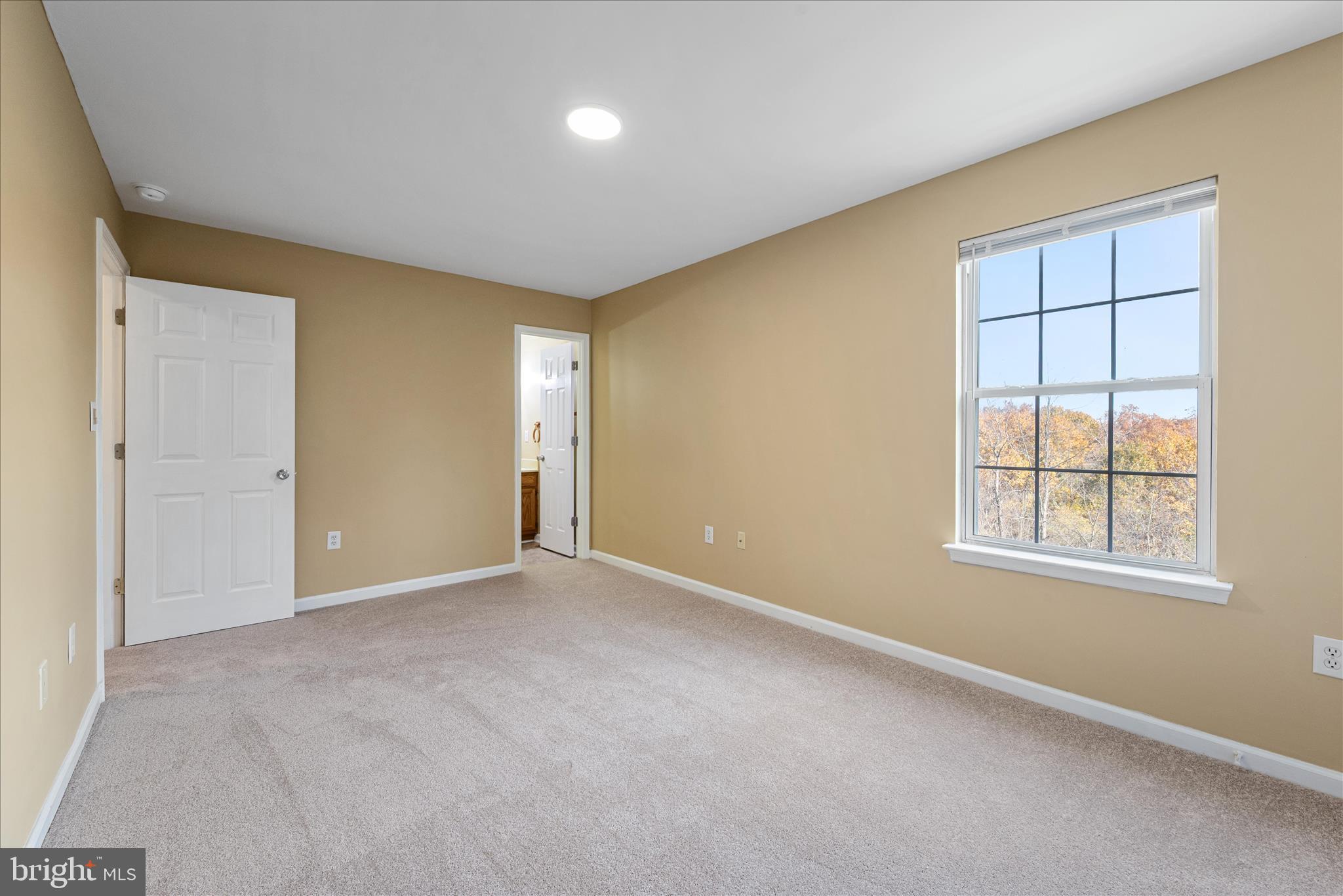 CARLISLE HEIGHTS - Residential Lease