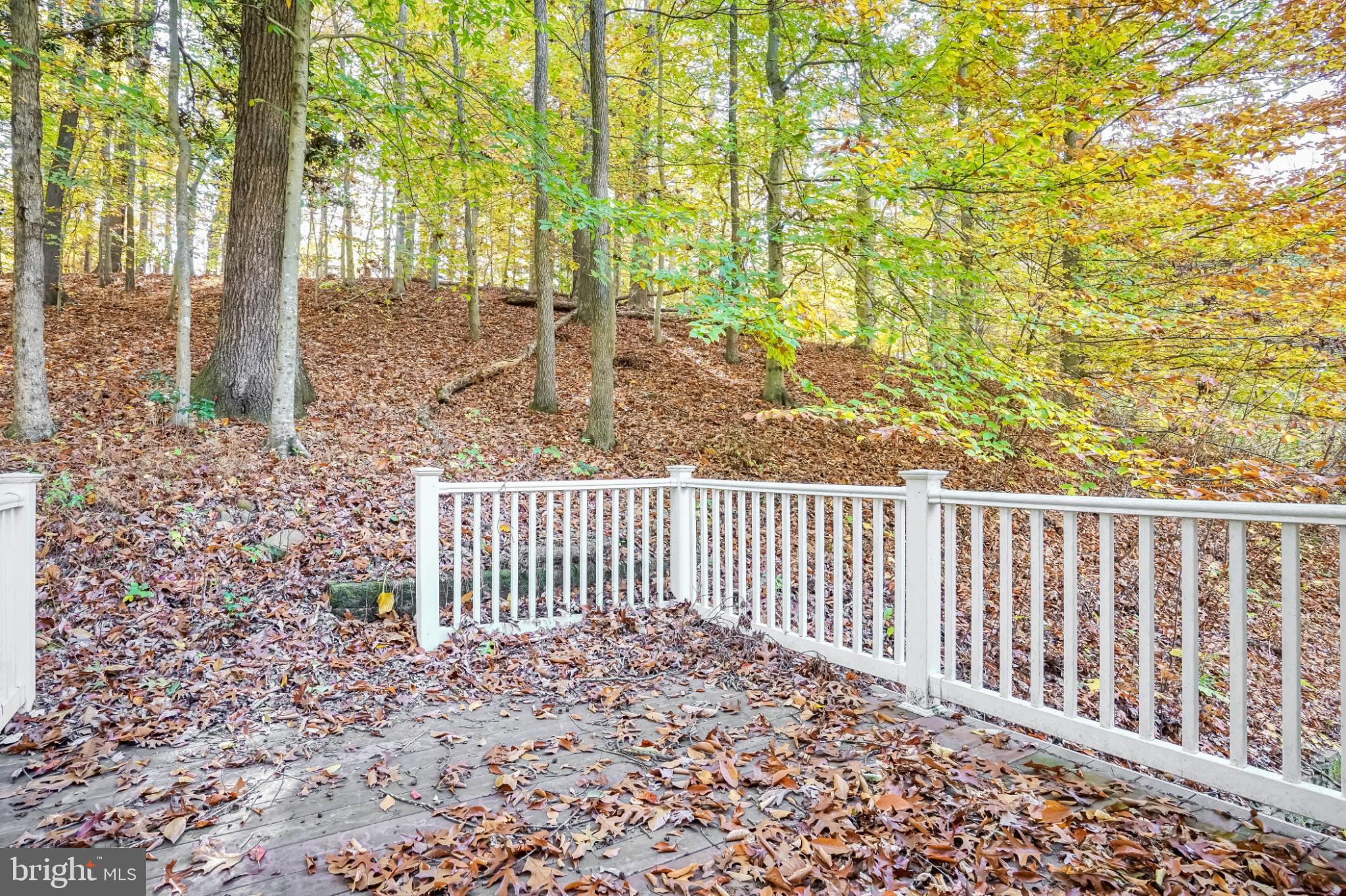 TOBACCO ROAD - Residential