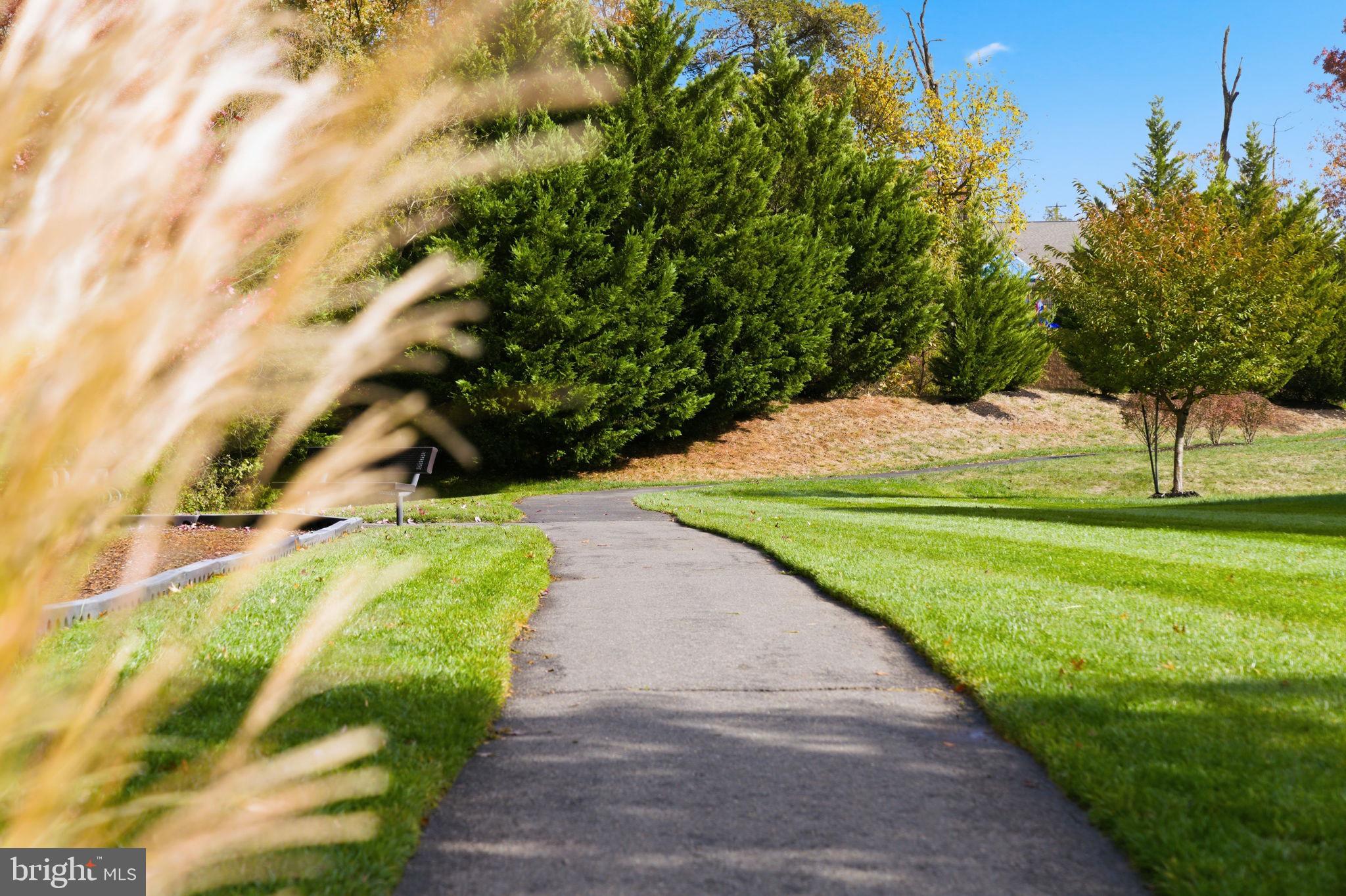 VIRGINIA MANOR CONDOMINIUM - Residential