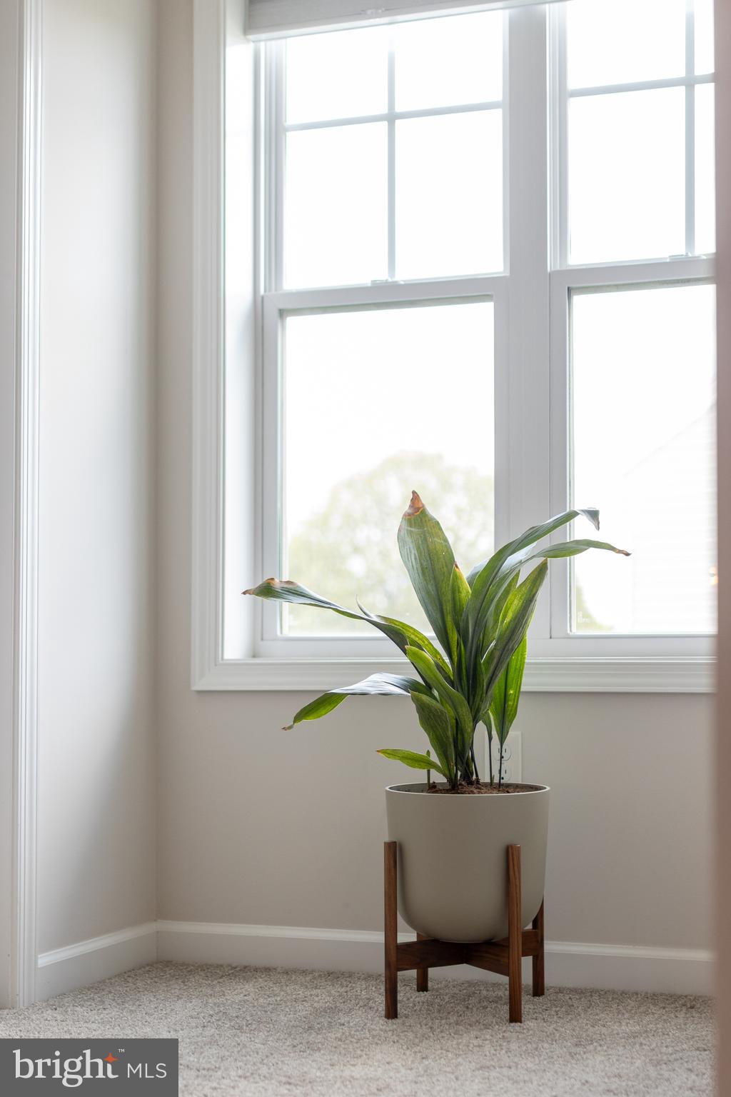 FIELDSTONE - Residential