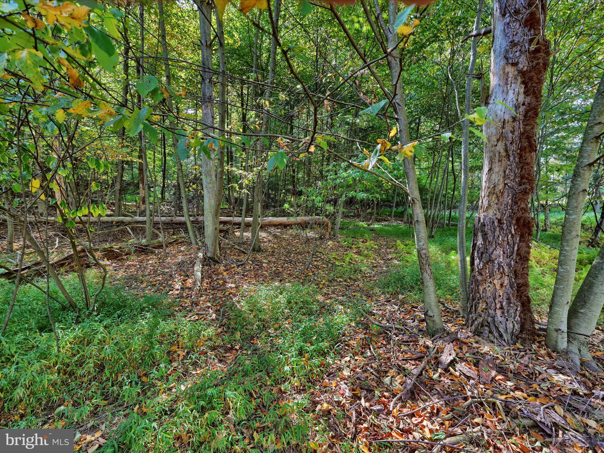 JONESTOWN - Residential